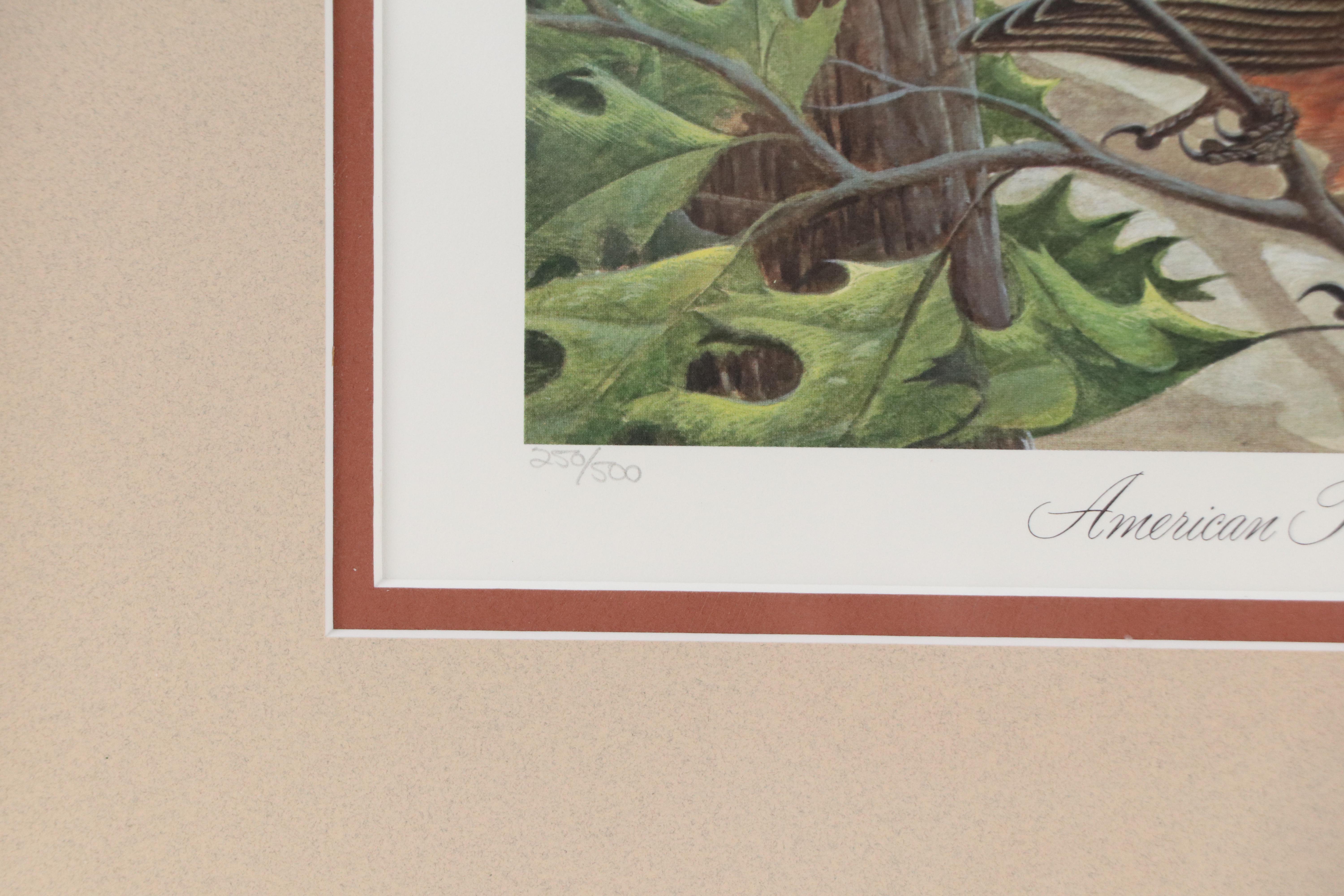 John A. Ruthven Offset Lithograph "American Robins," Late 20th Century