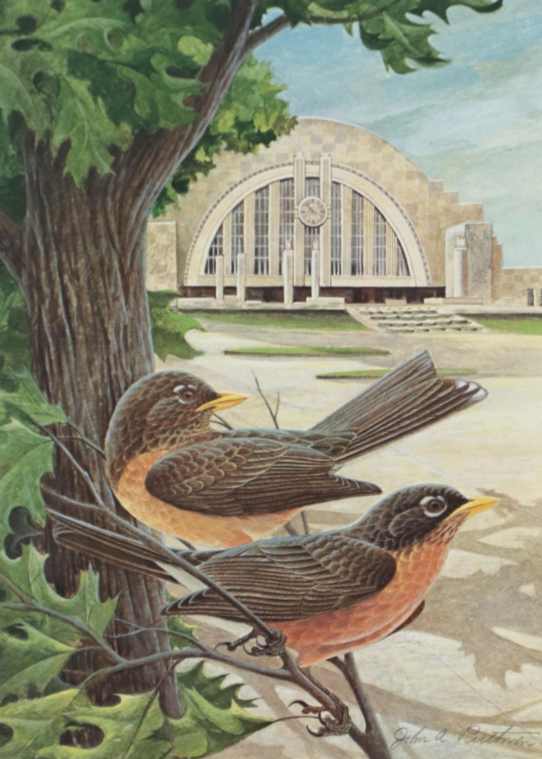 John A. Ruthven Offset Lithograph "American Robins," Late 20th Century