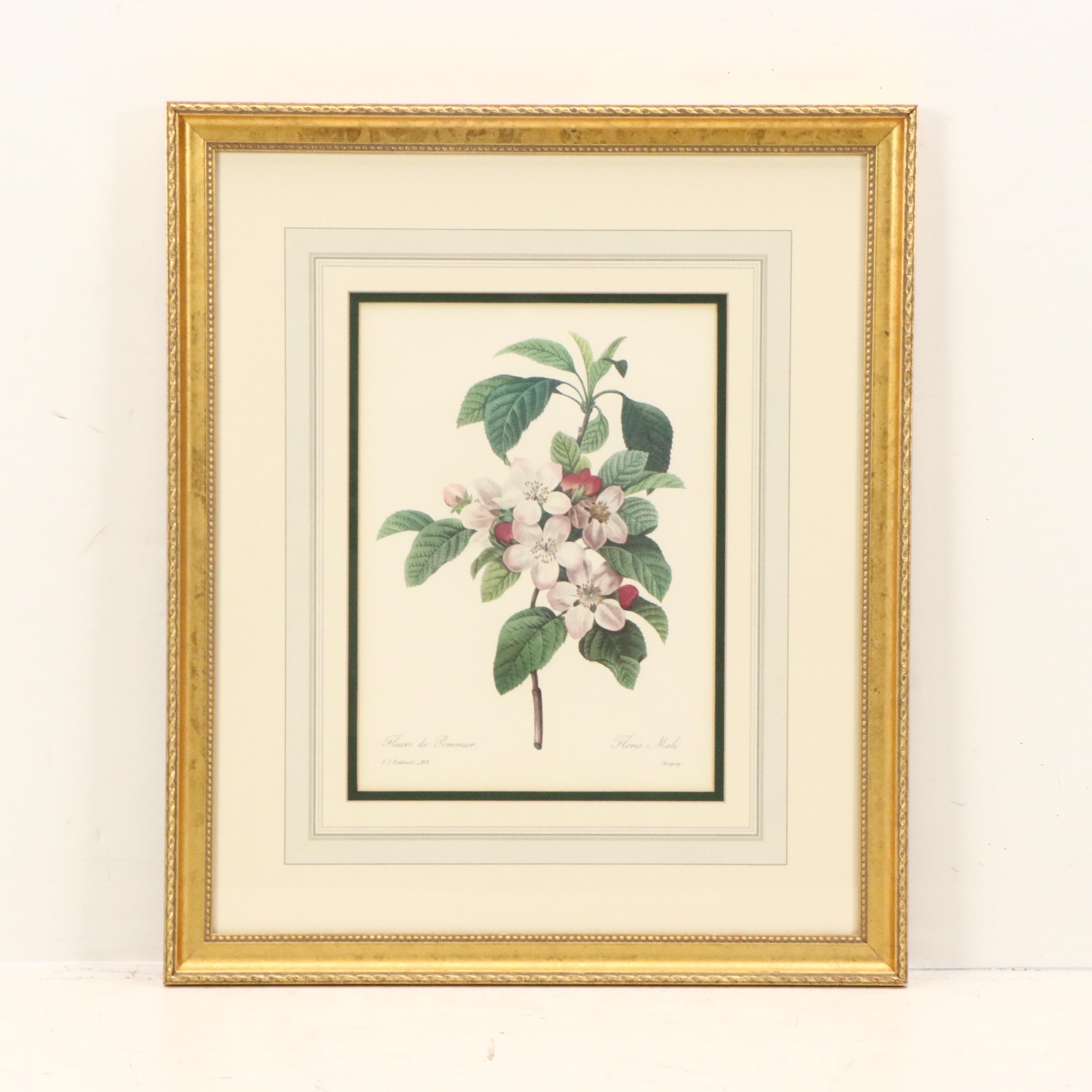 After Pierre Joseph Redouté Set of Four Floral Offset Lithographs