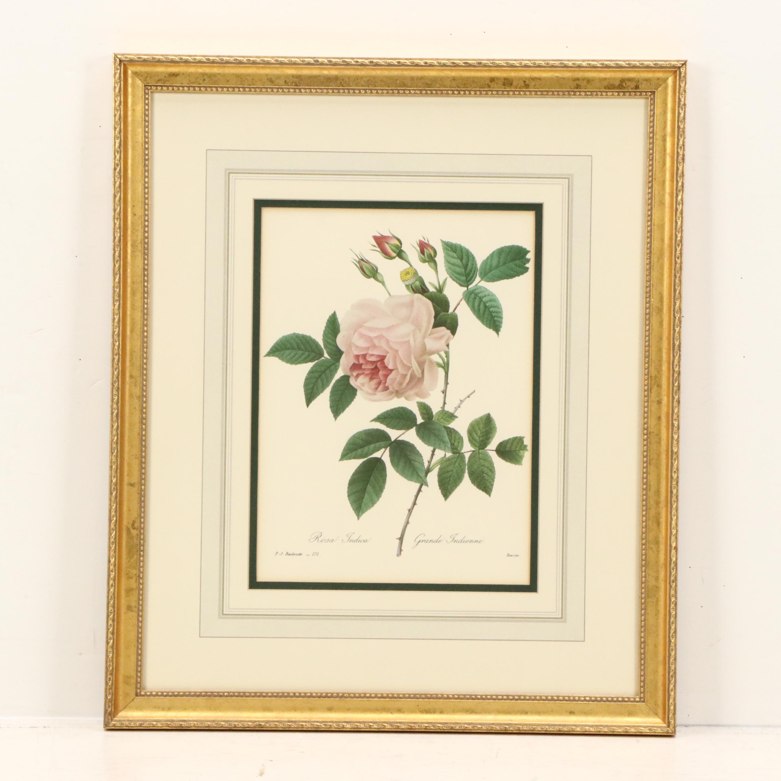 After Pierre Joseph Redouté Set of Four Floral Offset Lithographs