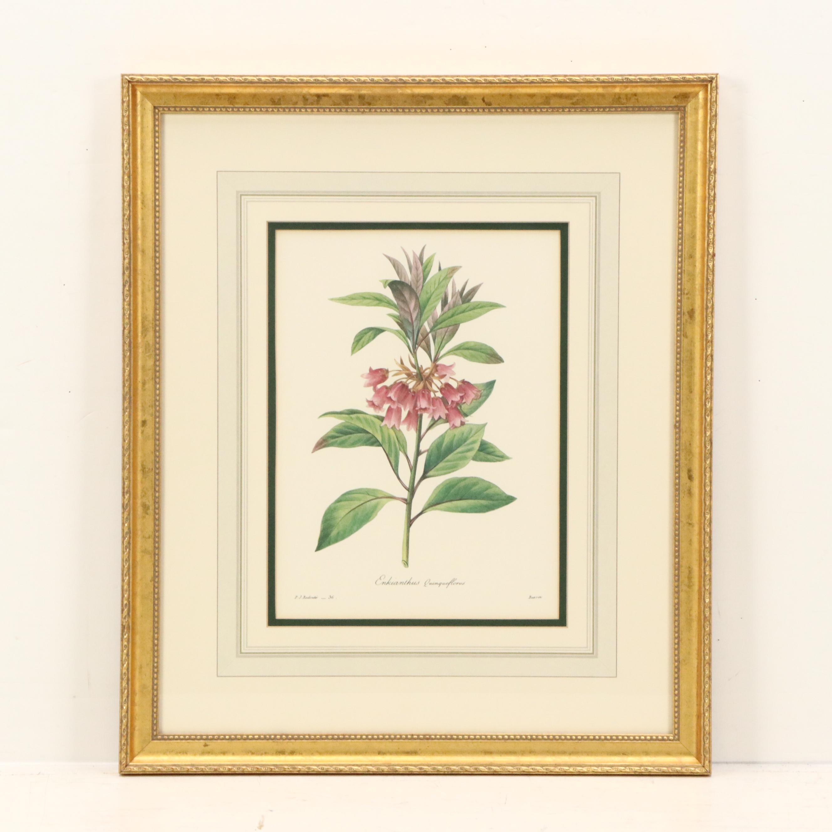 After Pierre Joseph Redouté Set of Four Floral Offset Lithographs