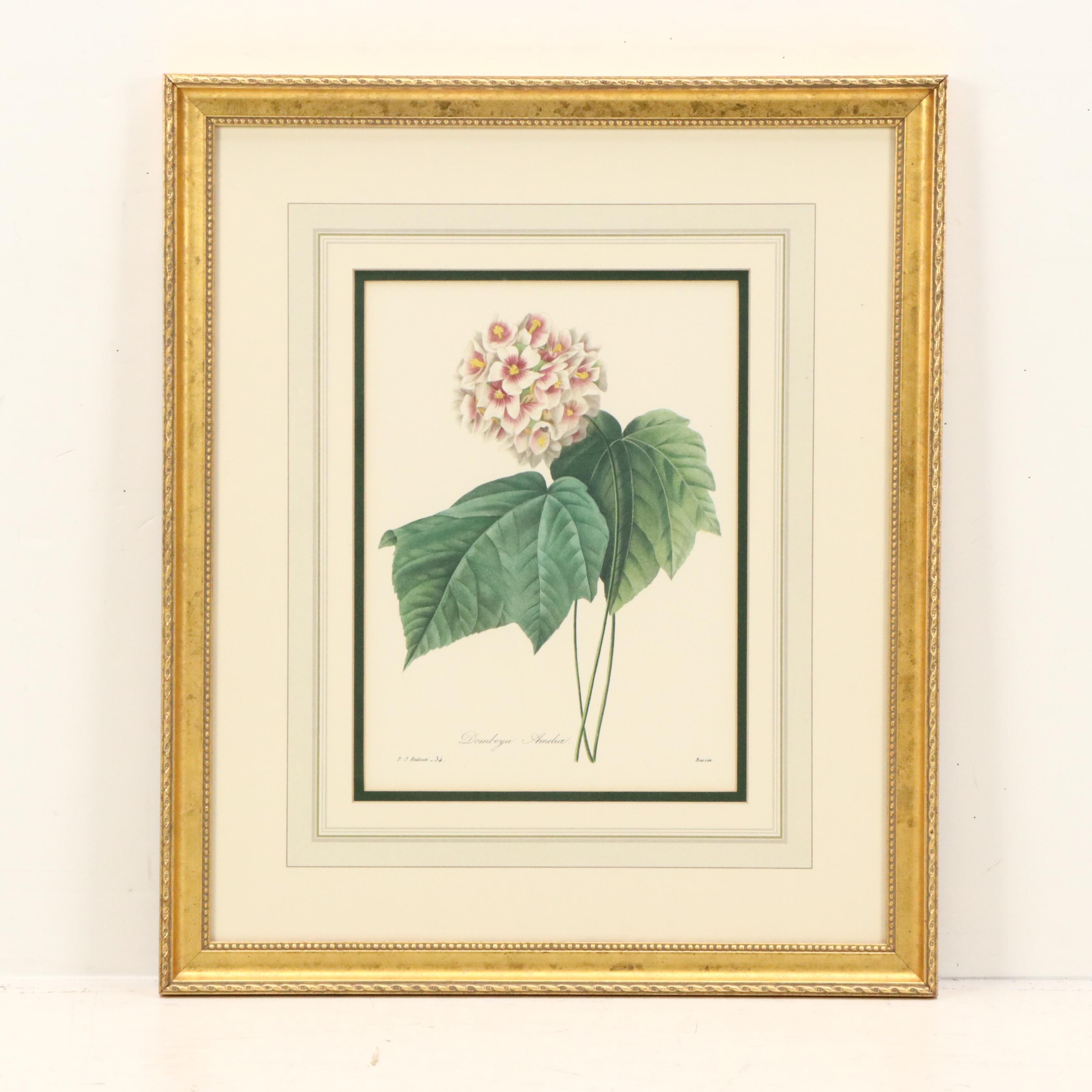 After Pierre Joseph Redouté Set of Four Floral Offset Lithographs