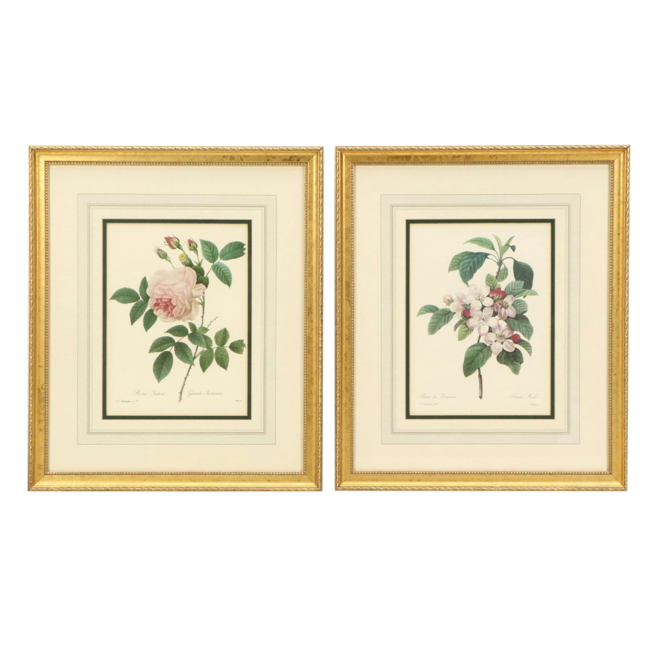 After Pierre Joseph Redouté Set of Four Floral Offset Lithographs