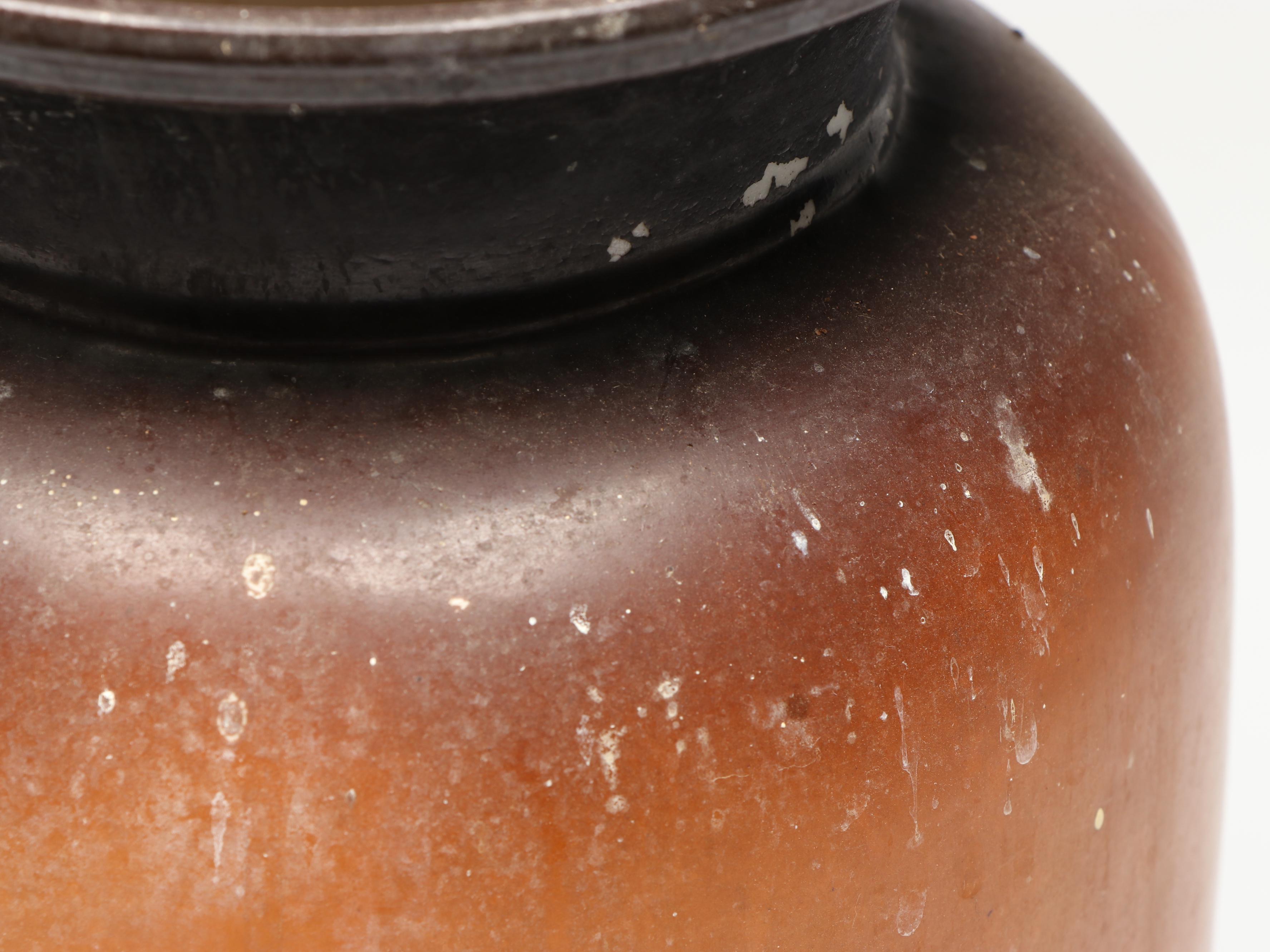 Warwick China Ioga Transfer-Decorated Portrait Vase, Antique