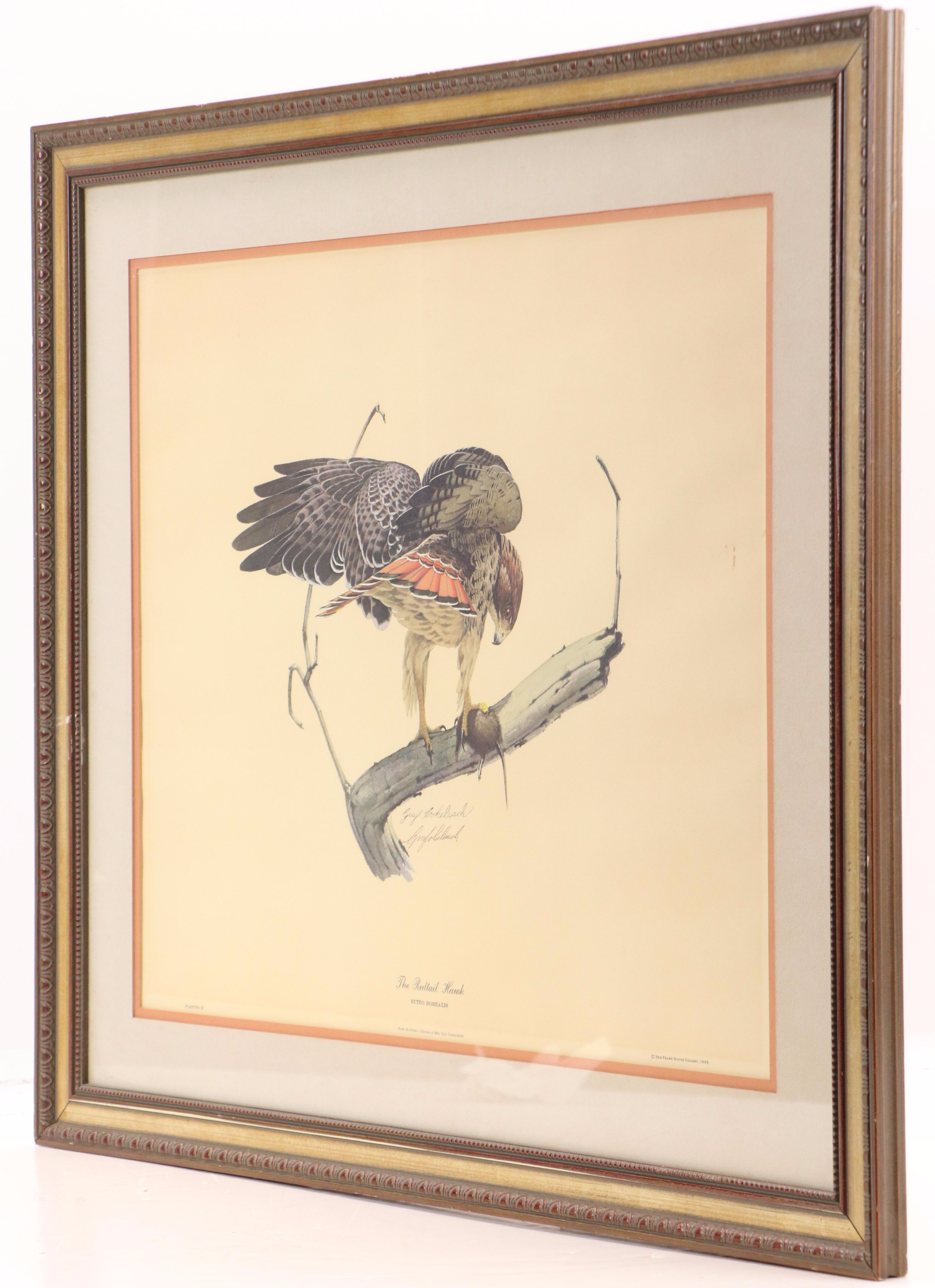 Guy Coheleach Offset Lithograph "The Redtail Hawk," Mid-Late 20th Century