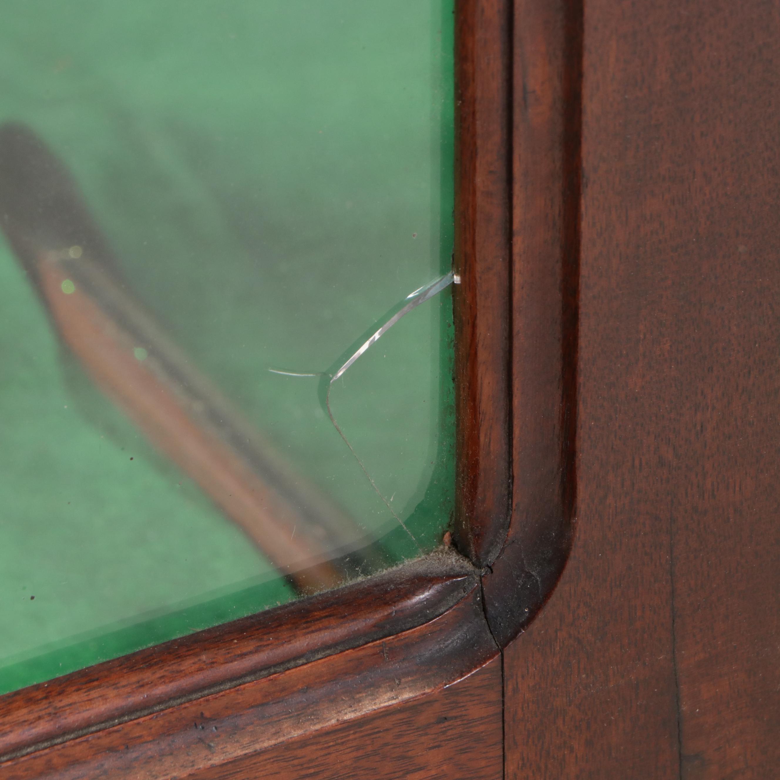 Biedermeier Wood and Glass Display Cabinet, Early 20th Century