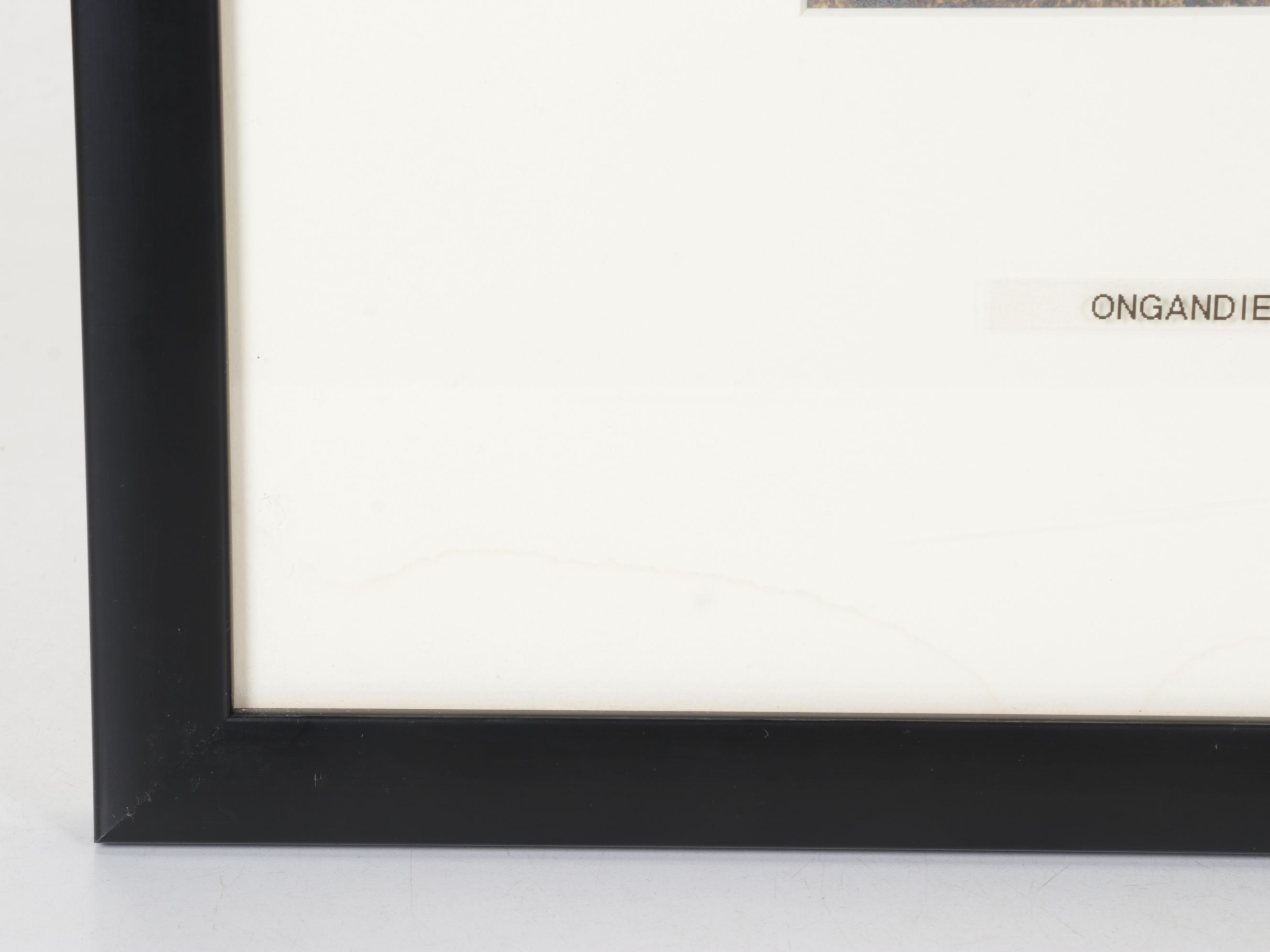 Sepia Toned Carbon Photograph of Namibian Ongandjera Women