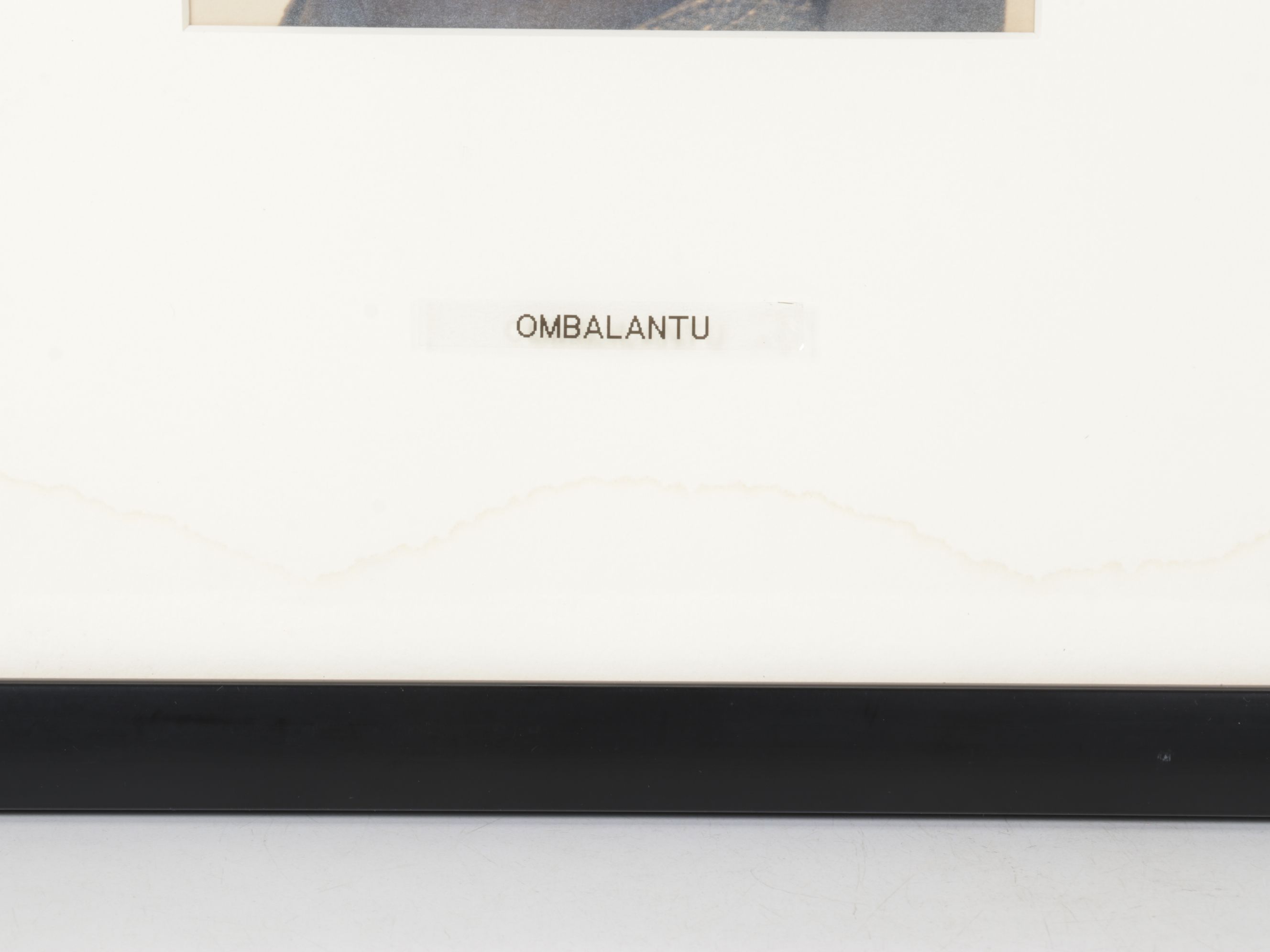 Sepia Toned Carbon Photograph of Namibian Ombalantu Young Woman