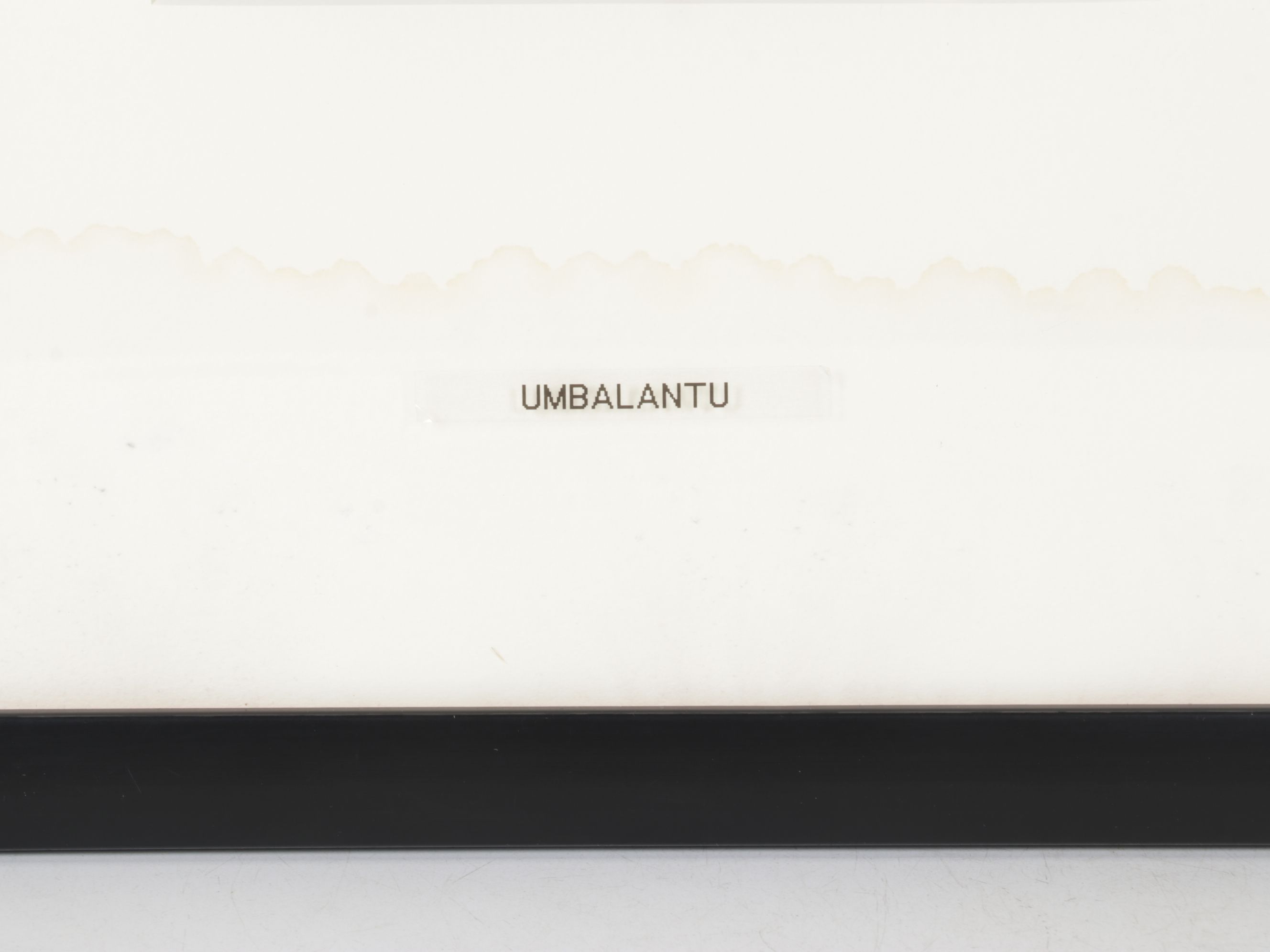 Sepia Toned Carbon Photograph of Namibian Ombalantu Young Woman