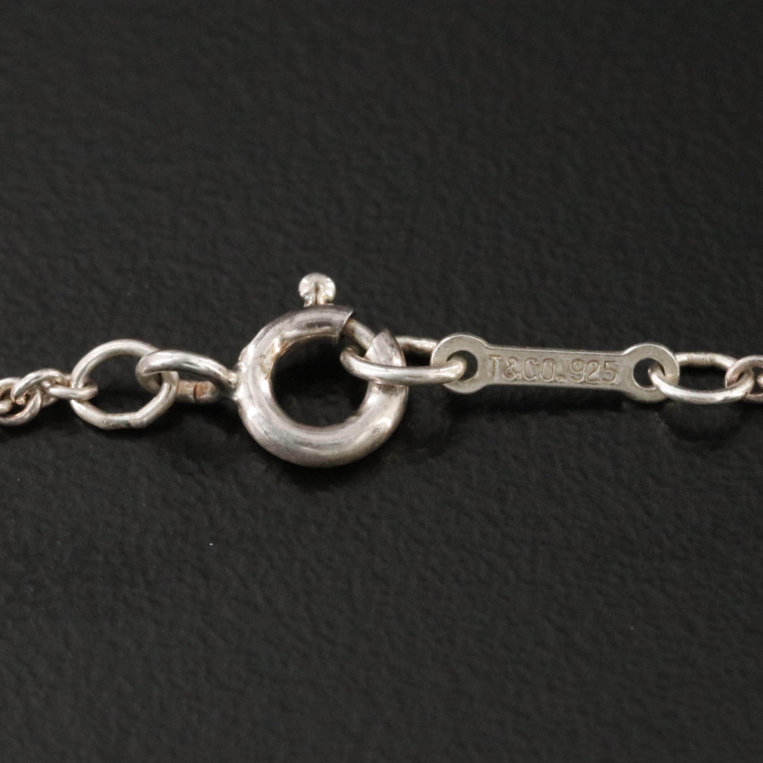 Elsa Peretti for Tiffany & Co. Sterling Apple Necklace