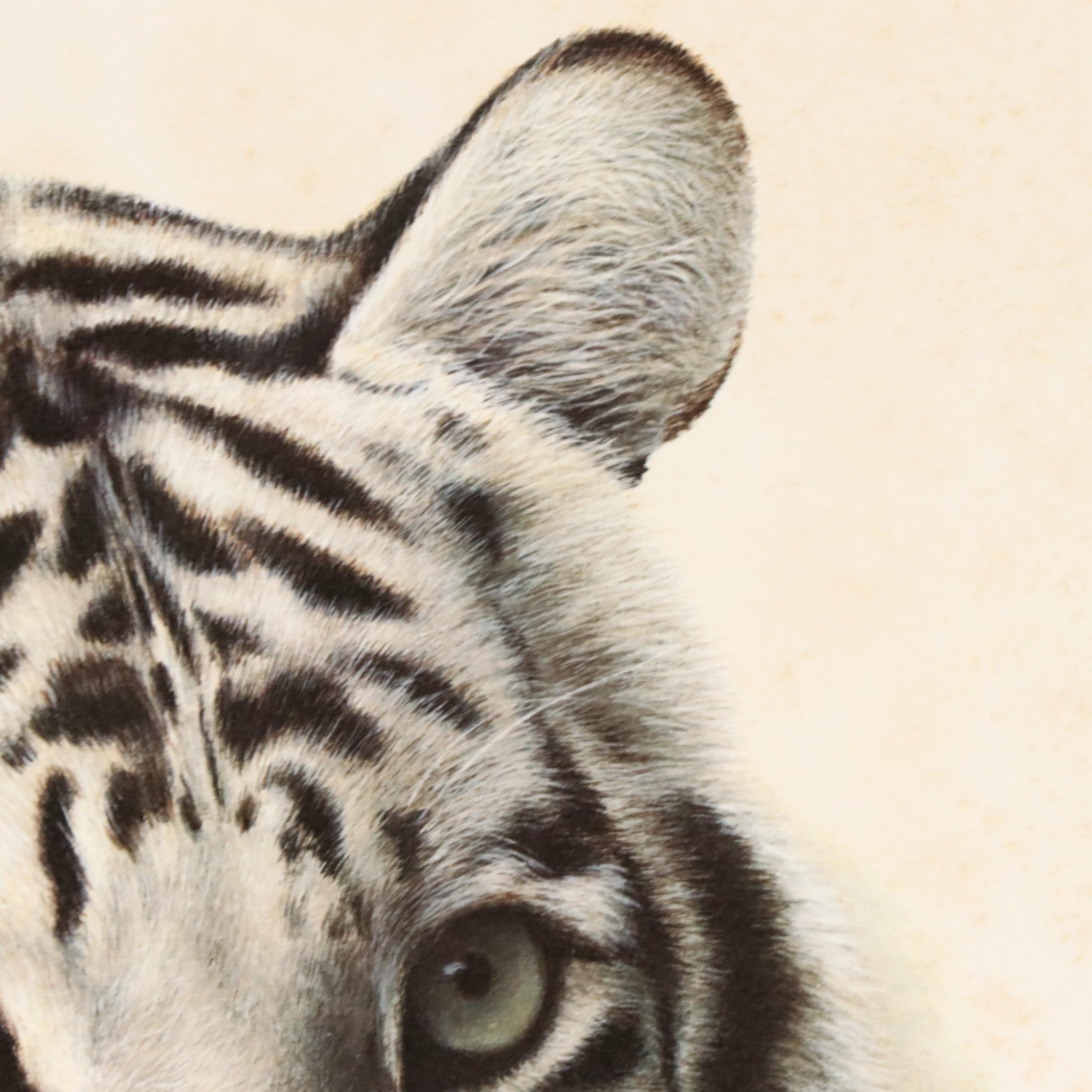 Charles Fracé Offset Lithograph "White Tiger," Circa 1980