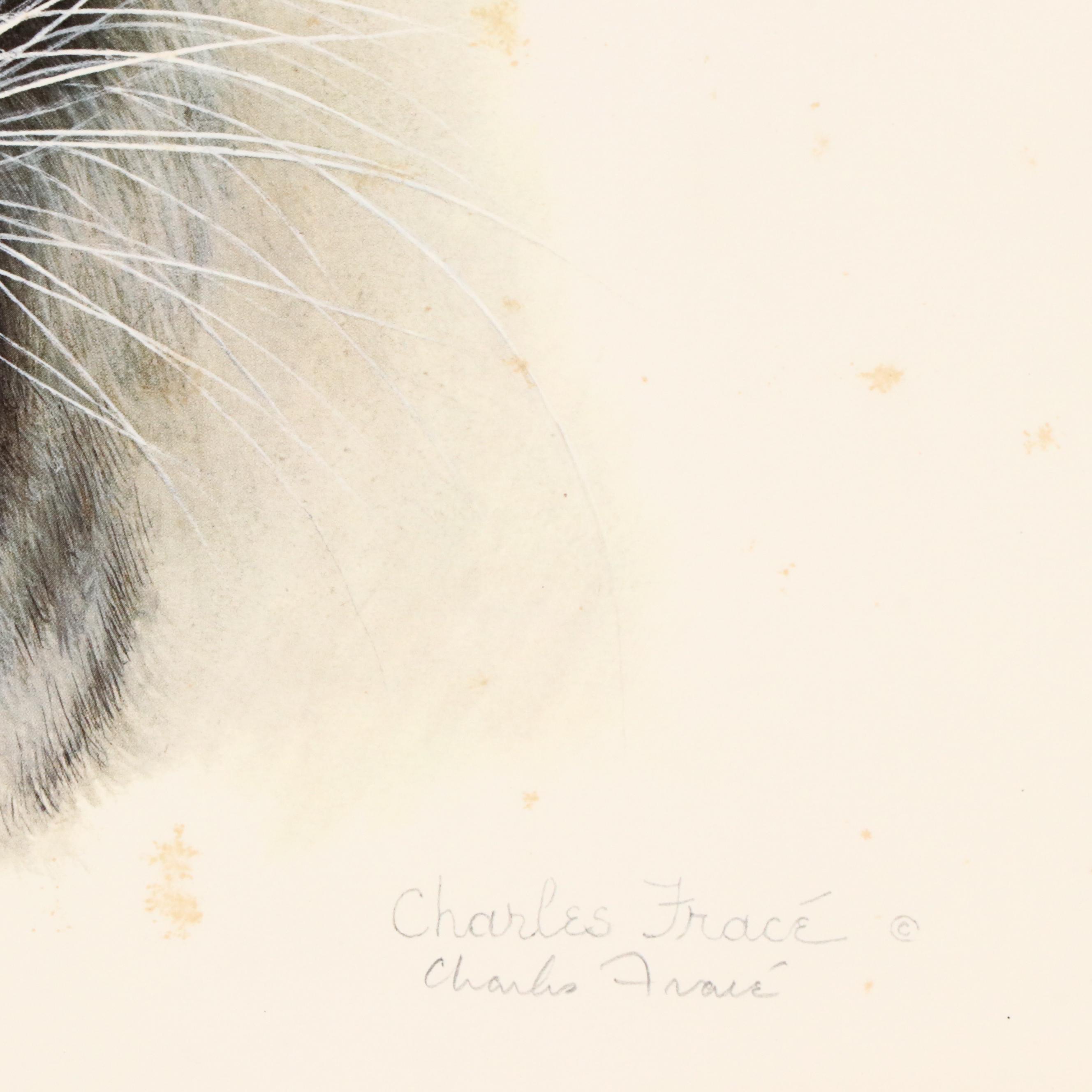 Charles Fracé Offset Lithograph "White Tiger," Circa 1980