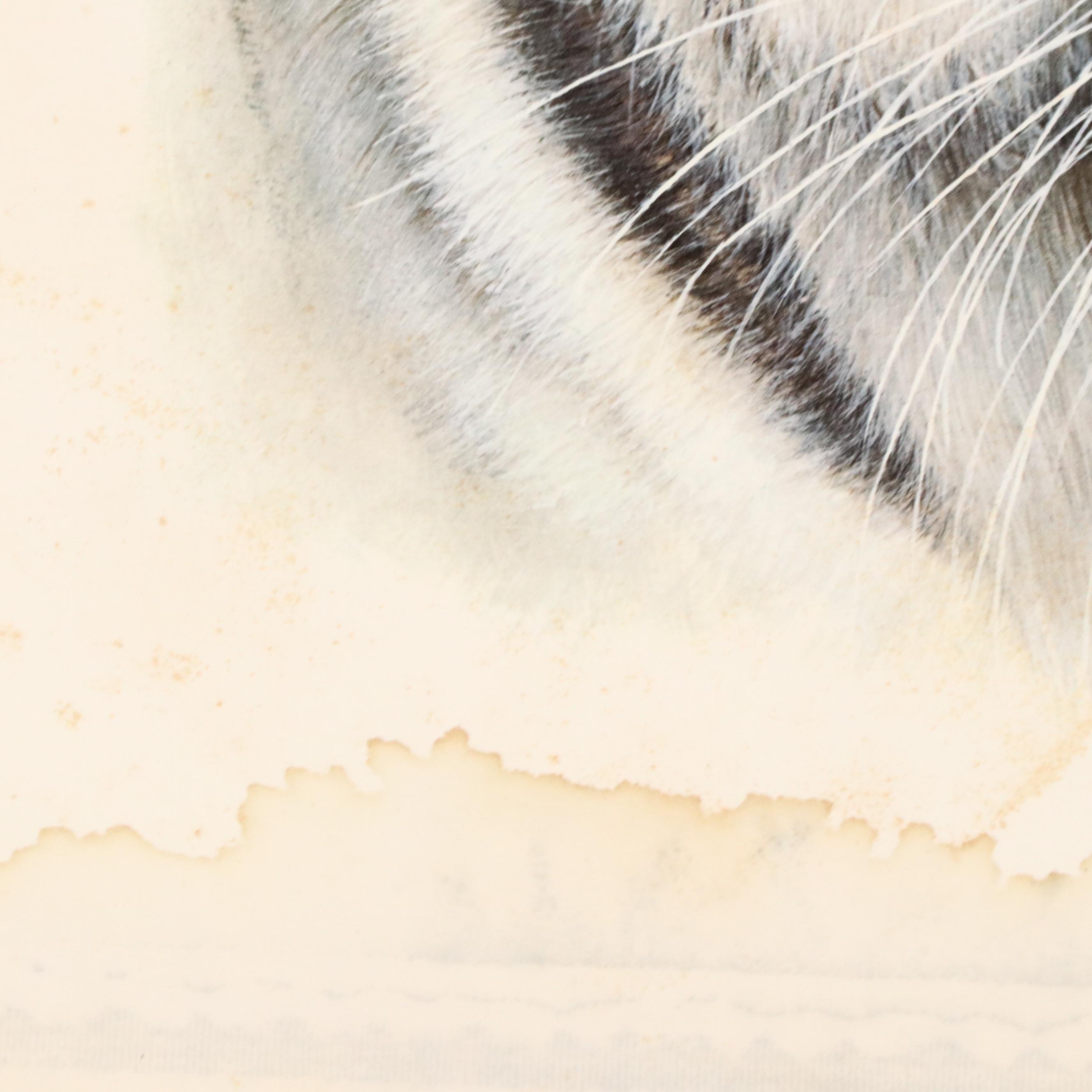 Charles Fracé Offset Lithograph "White Tiger," Circa 1980