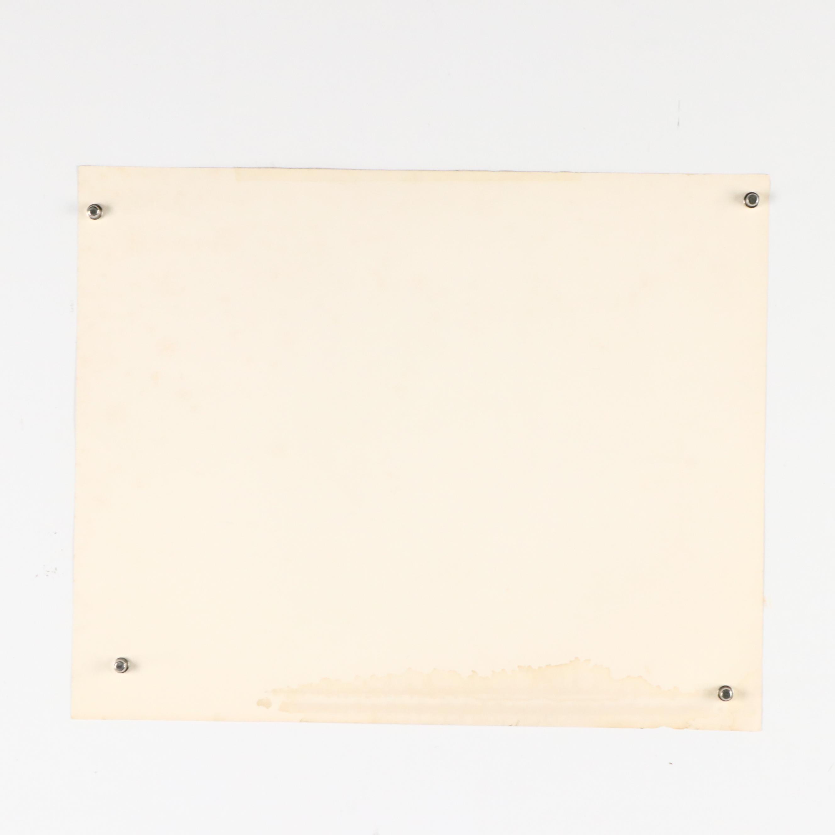 Charles Fracé Offset Lithograph "White Tiger," Circa 1980