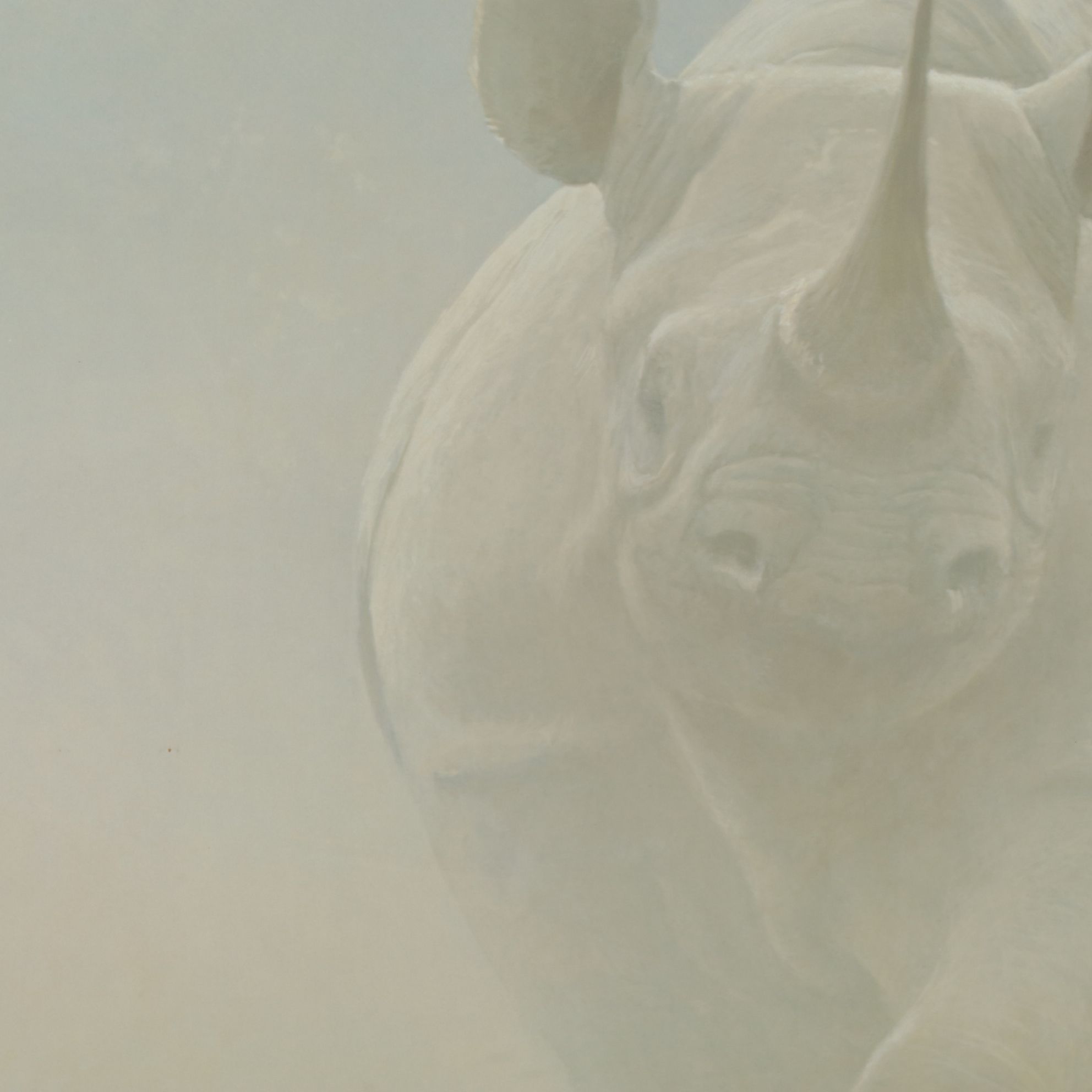 Robert Bateman Offset Lithograph "Power Play - Rhinoceros", 1991