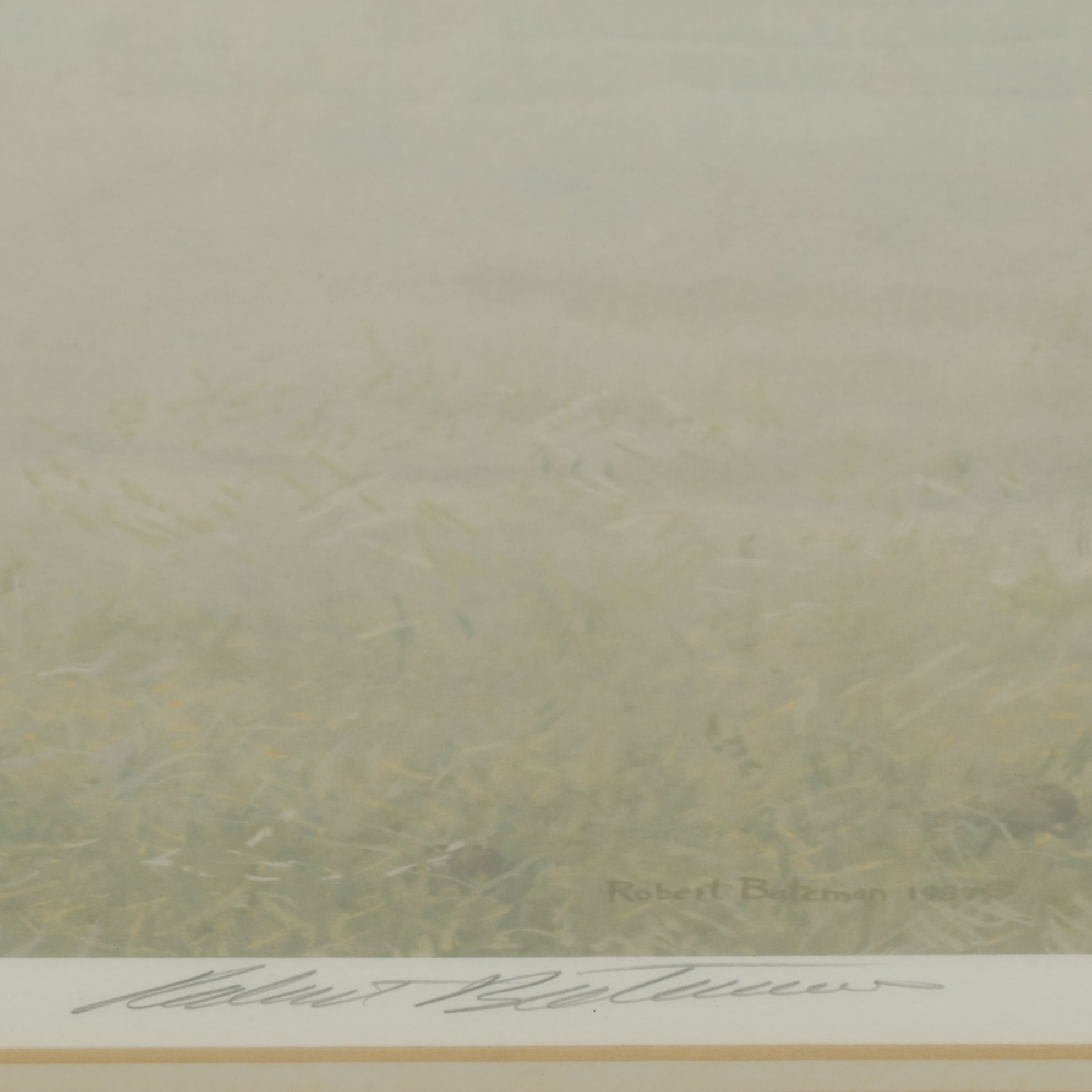 Robert Bateman Offset Lithograph "Power Play - Rhinoceros", 1991