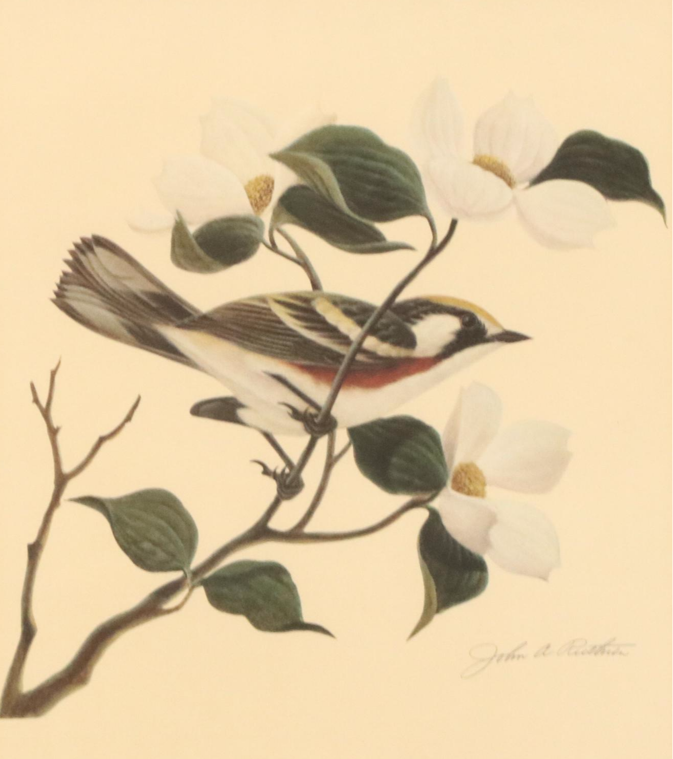 Trio of John Ruthven Bird Offset Lithographs, 20th Century