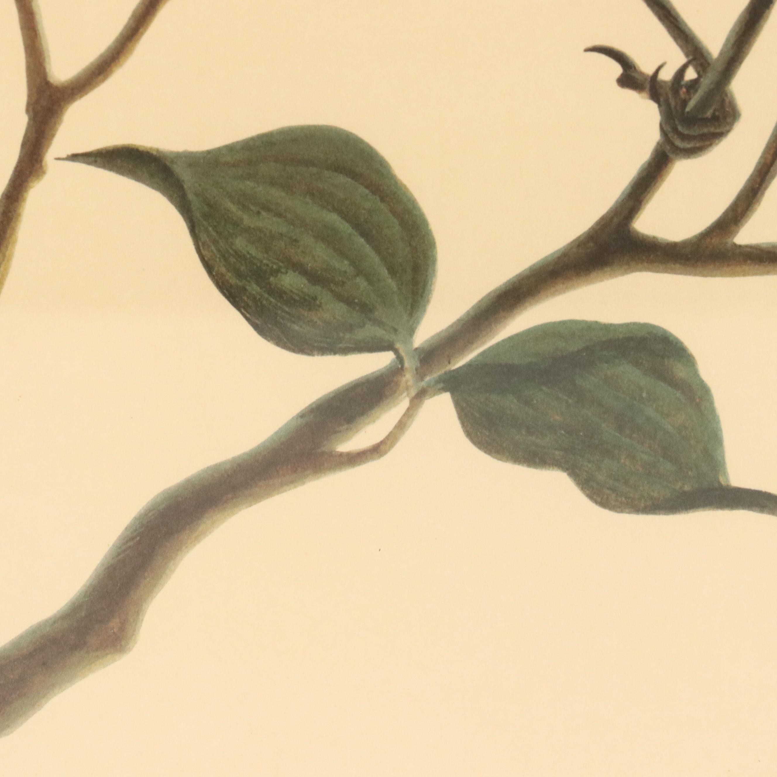 Trio of John Ruthven Bird Offset Lithographs, 20th Century