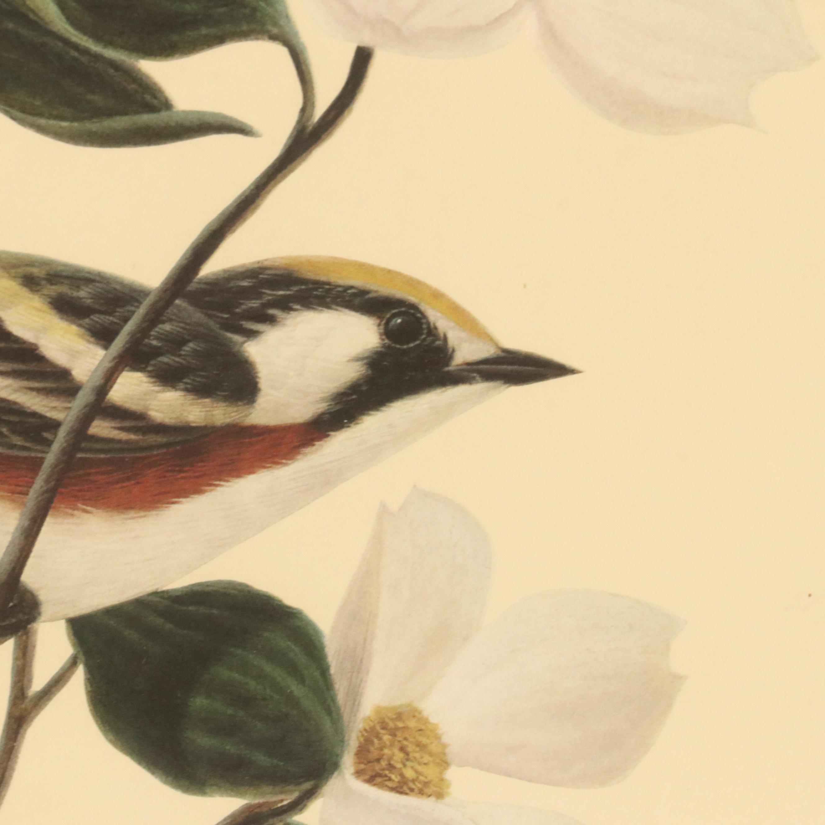 Trio of John Ruthven Bird Offset Lithographs, 20th Century