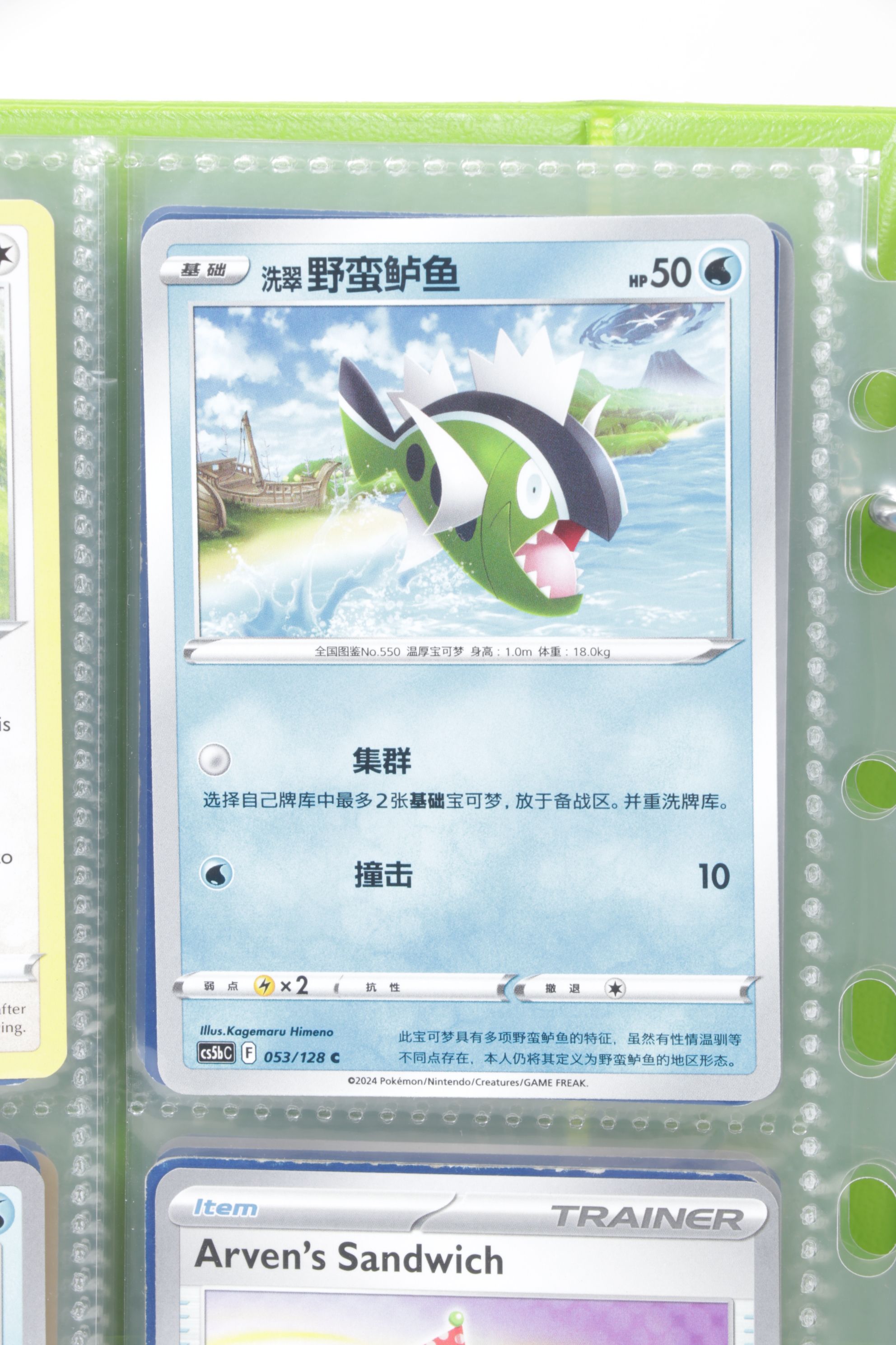 Pokémon Card Collection Featuring Base to Modern Sets, 1998-2025