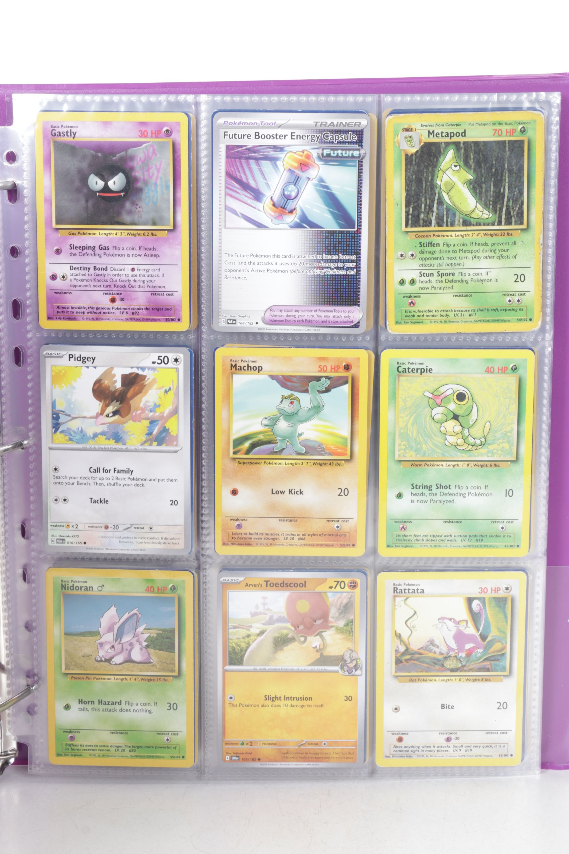 Chinese & English Pokémon Card Collection Featuring Base to Modern Sets
