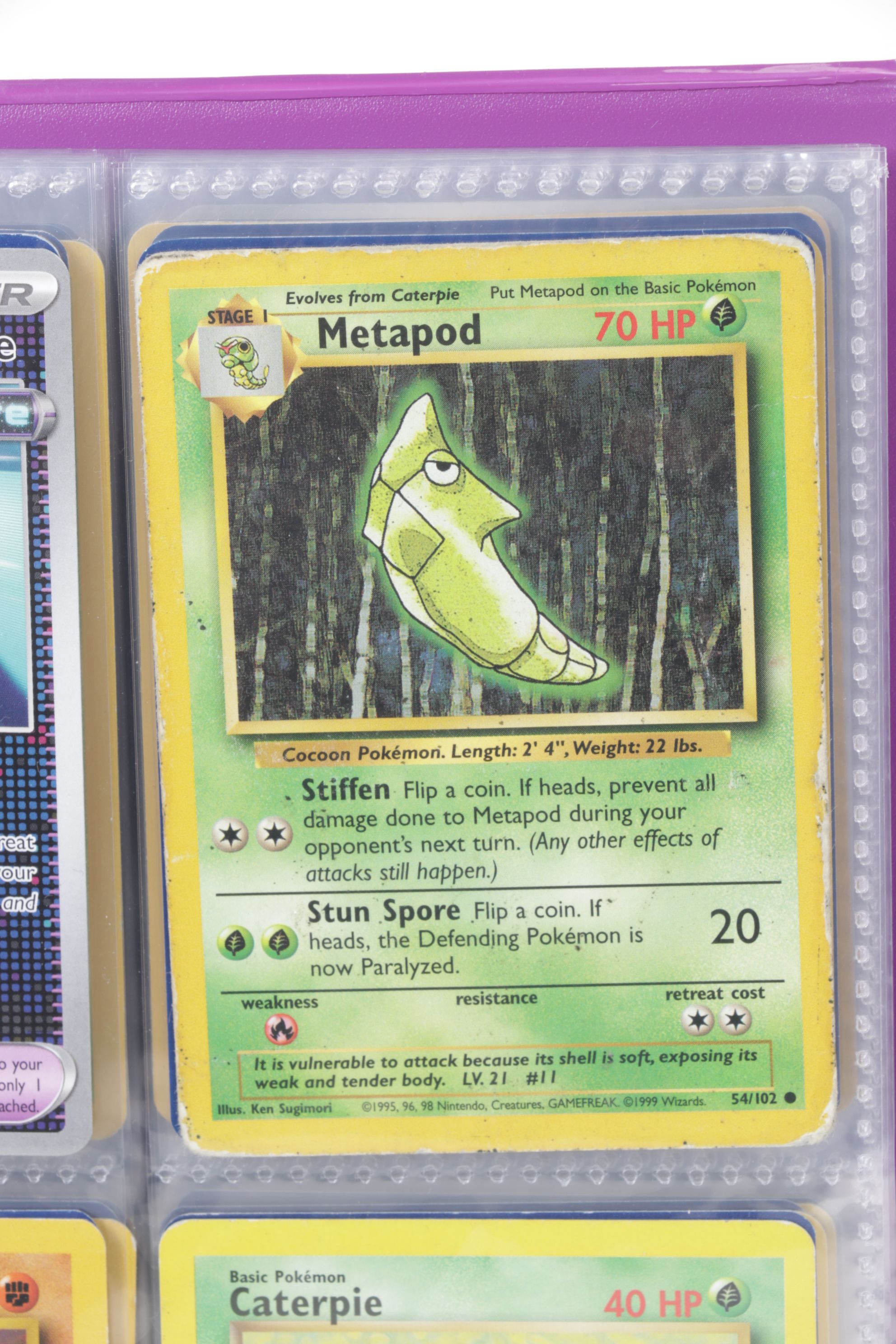 Chinese & English Pokémon Card Collection Featuring Base to Modern Sets