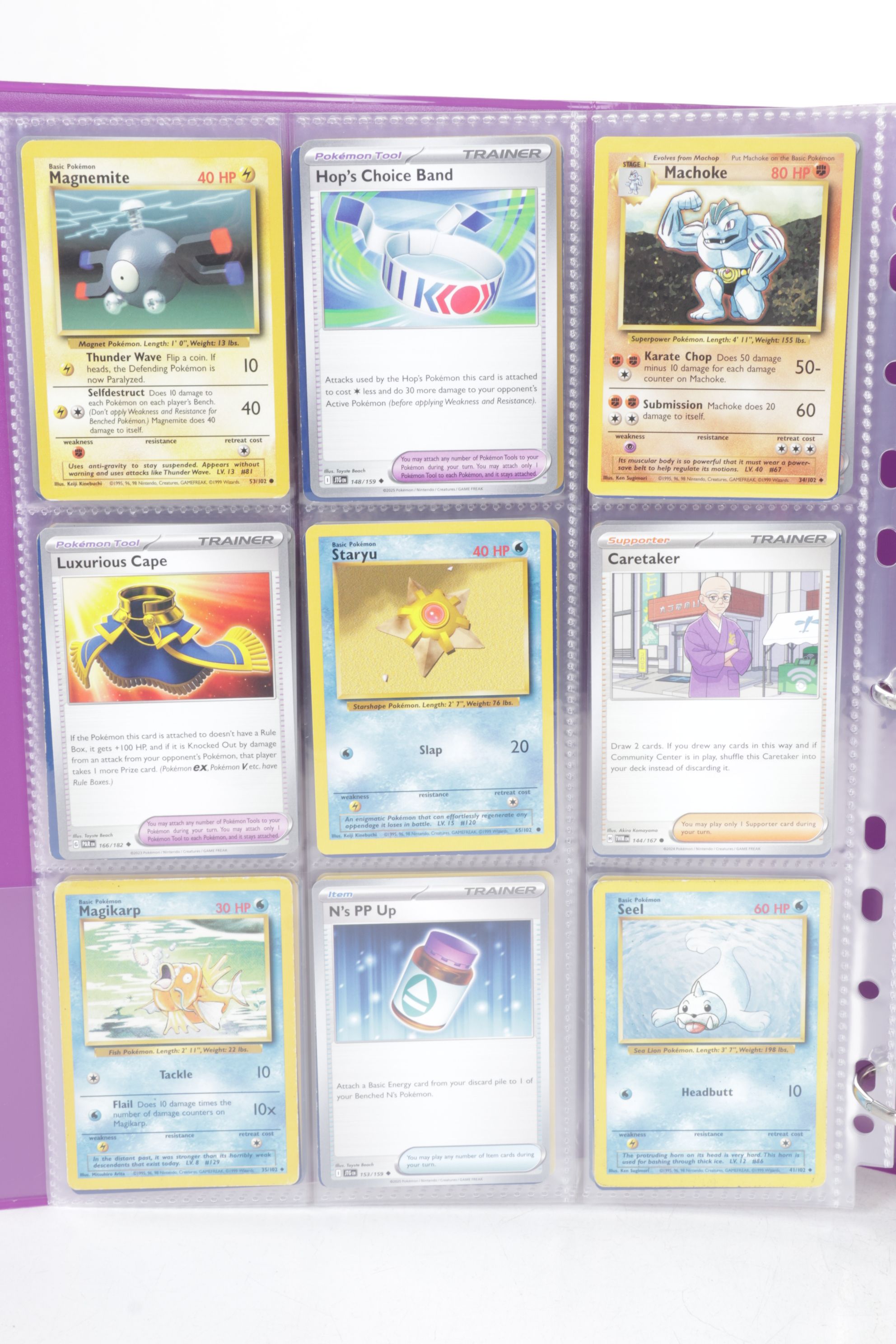 Chinese & English Pokémon Card Collection Featuring Base to Modern Sets