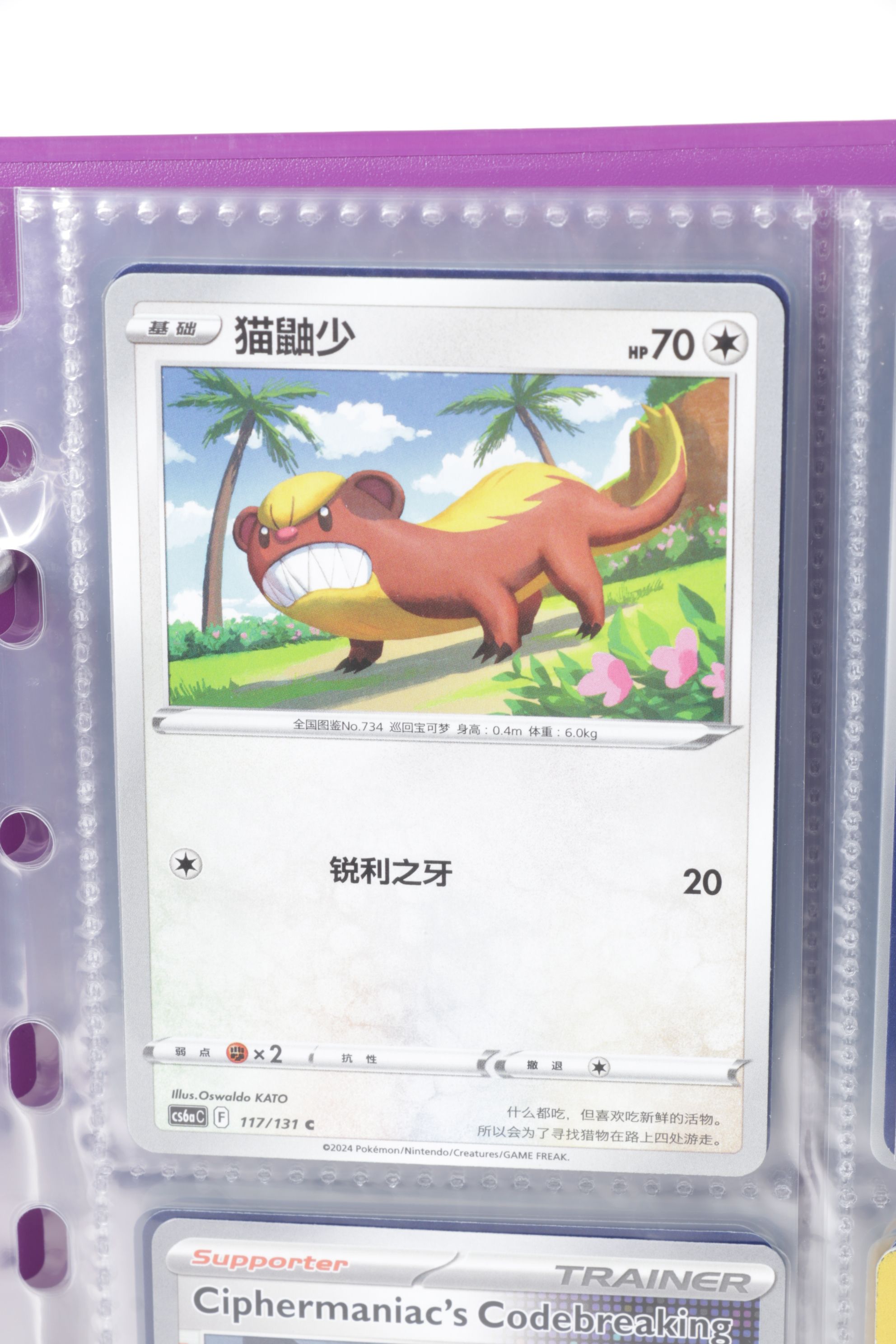 Chinese & English Pokémon Card Collection Featuring Base to Modern Sets