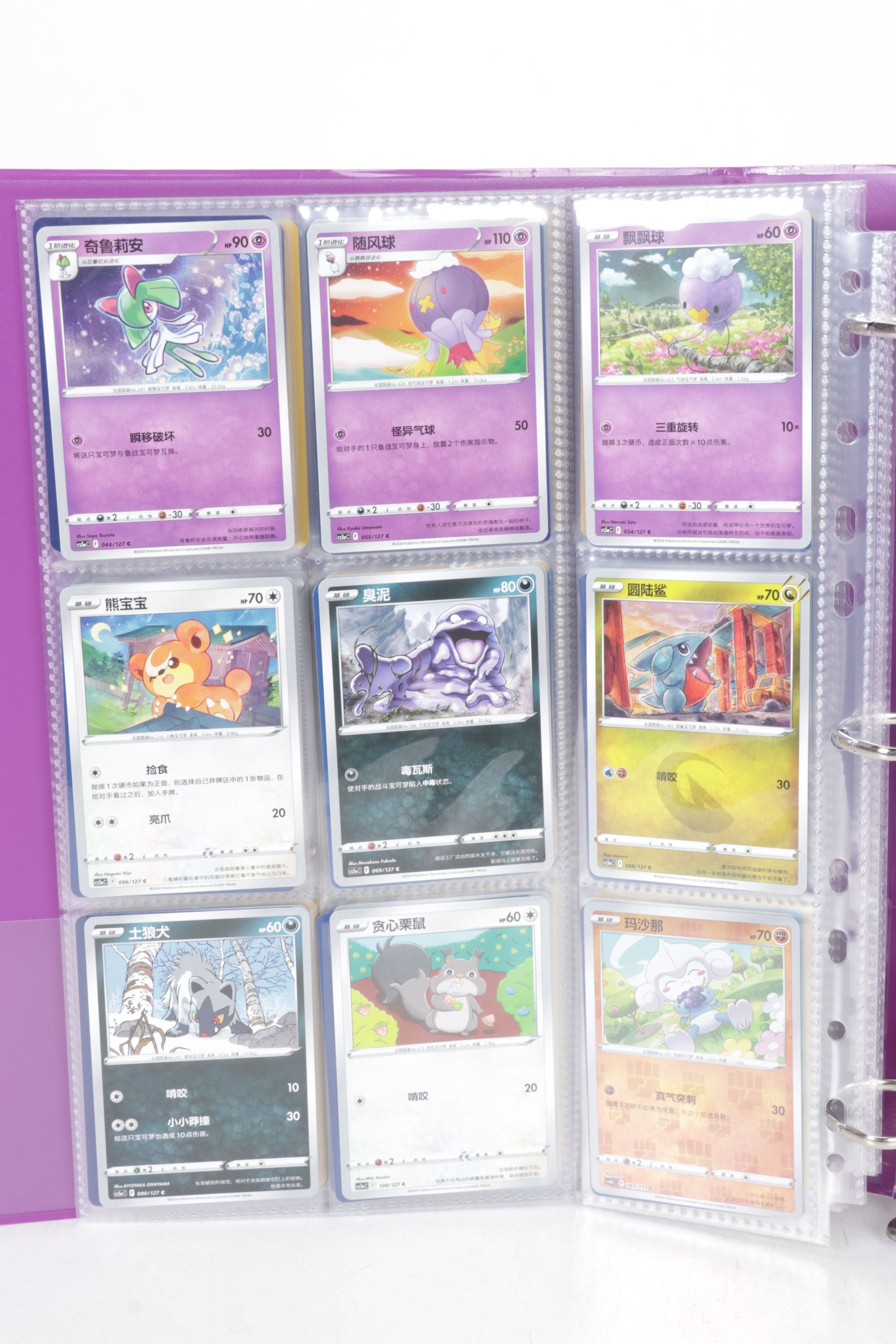 Chinese & English Pokémon Card Collection Featuring Base to Modern Sets