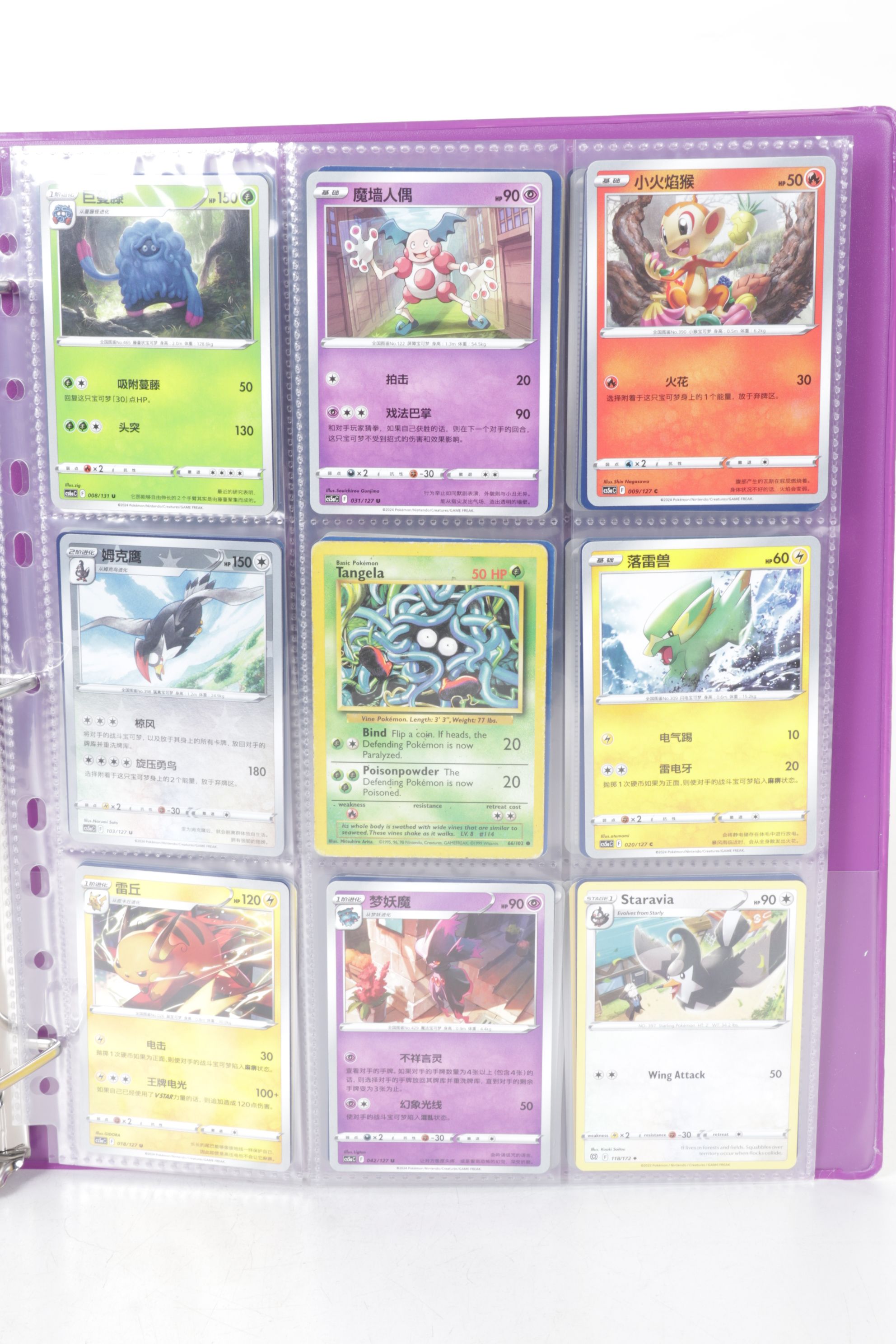 Chinese & English Pokémon Card Collection Featuring Base to Modern Sets