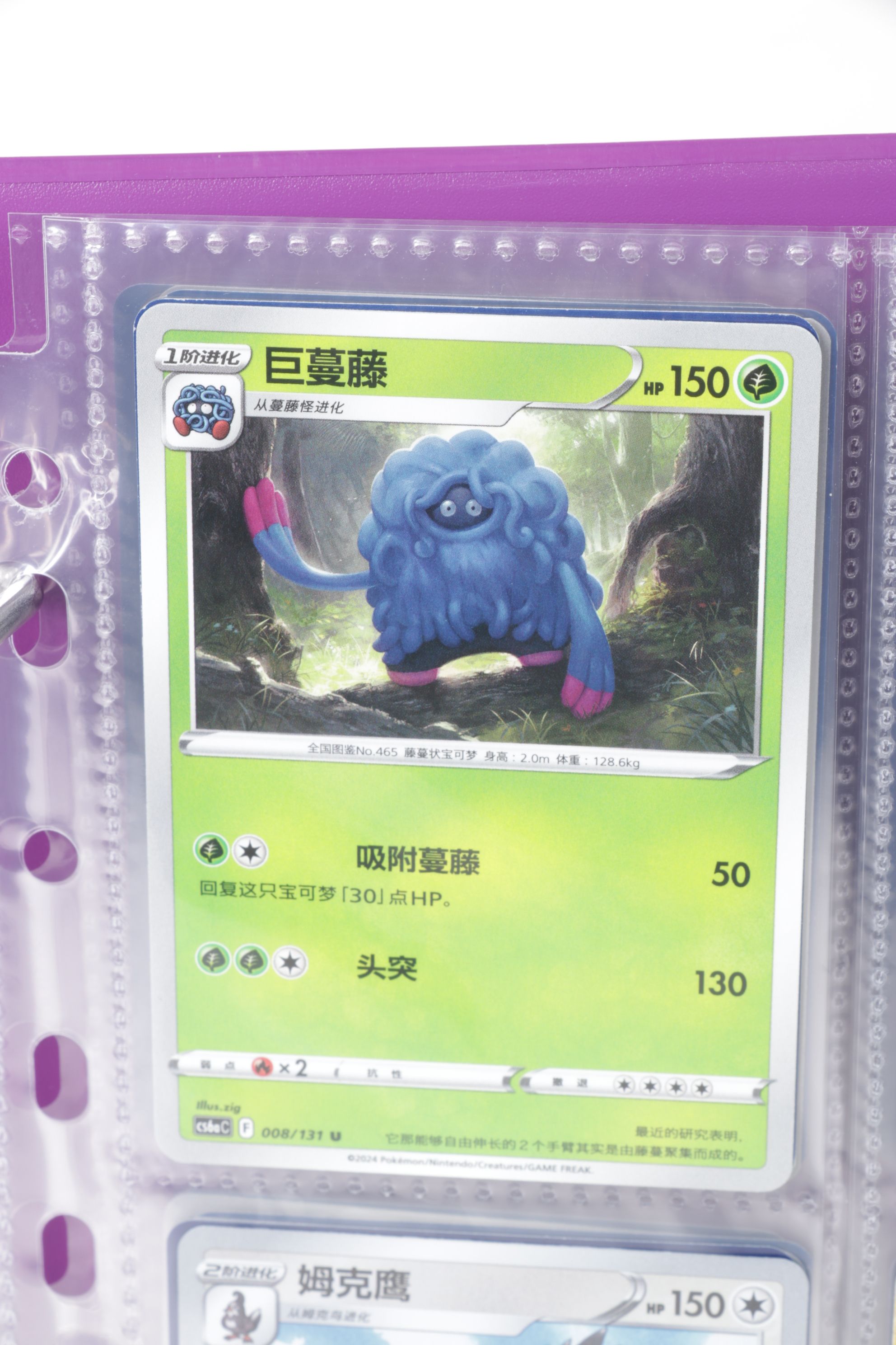 Chinese & English Pokémon Card Collection Featuring Base to Modern Sets