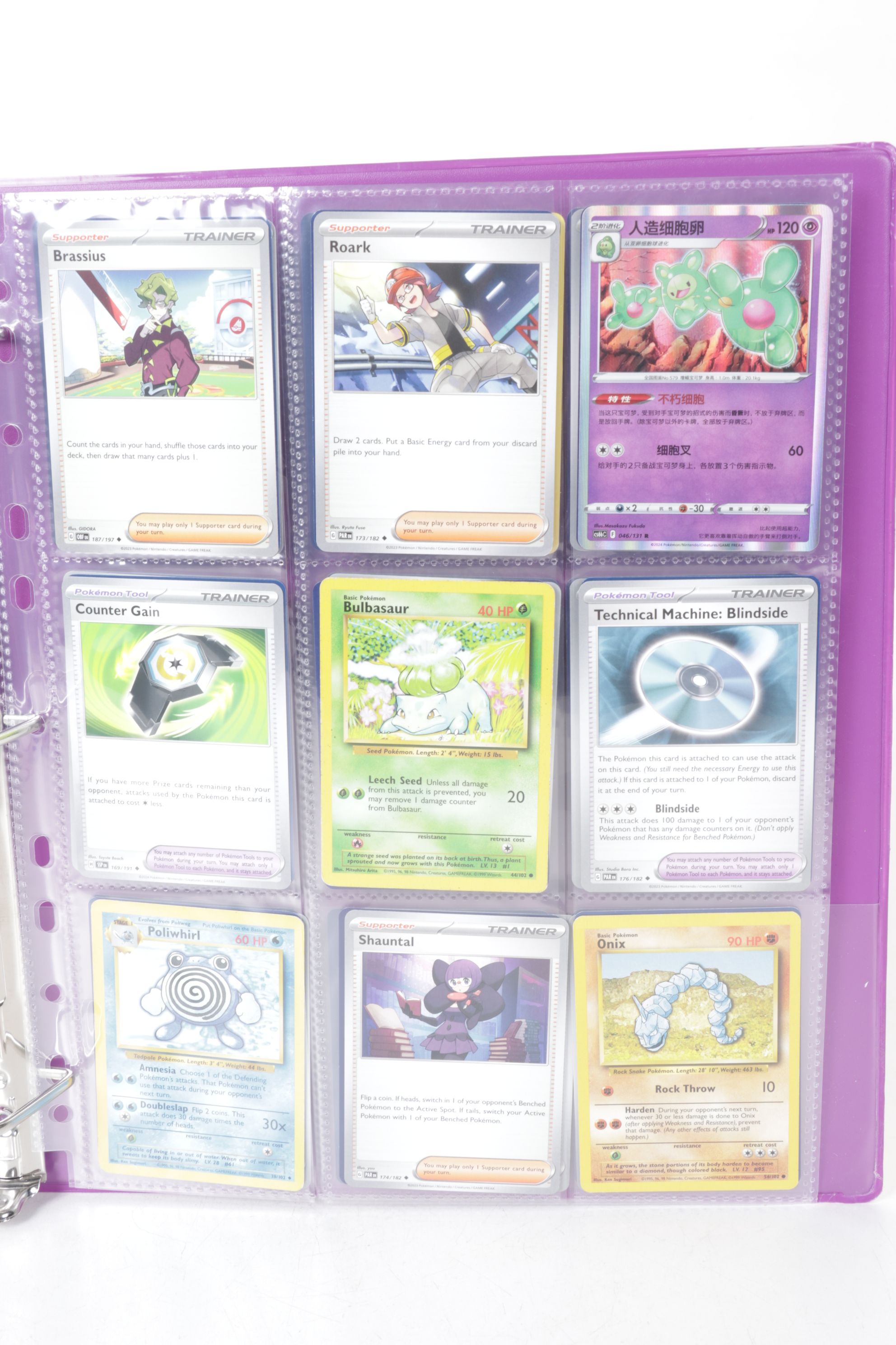 Chinese & English Pokémon Card Collection Featuring Base to Modern Sets