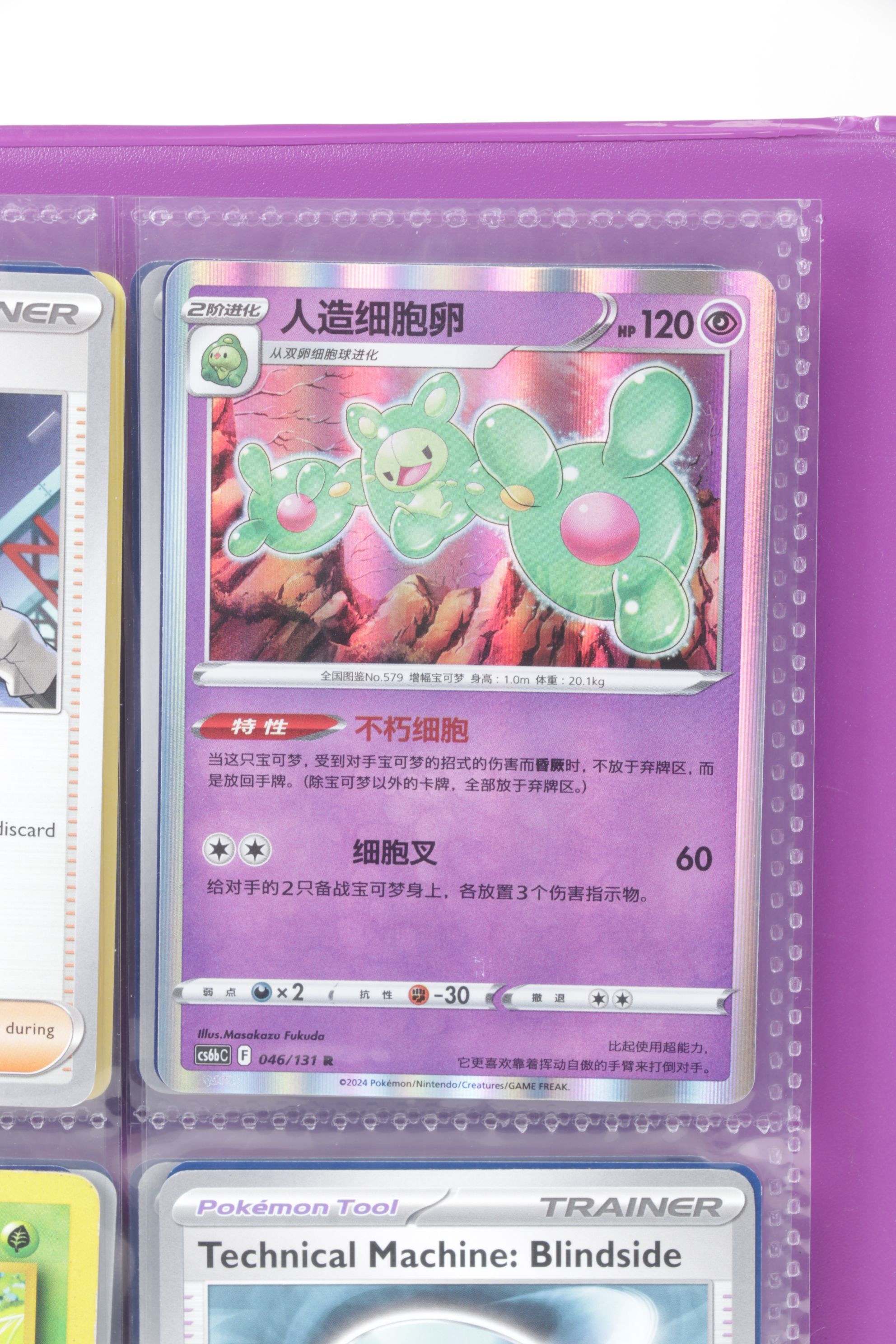 Chinese & English Pokémon Card Collection Featuring Base to Modern Sets