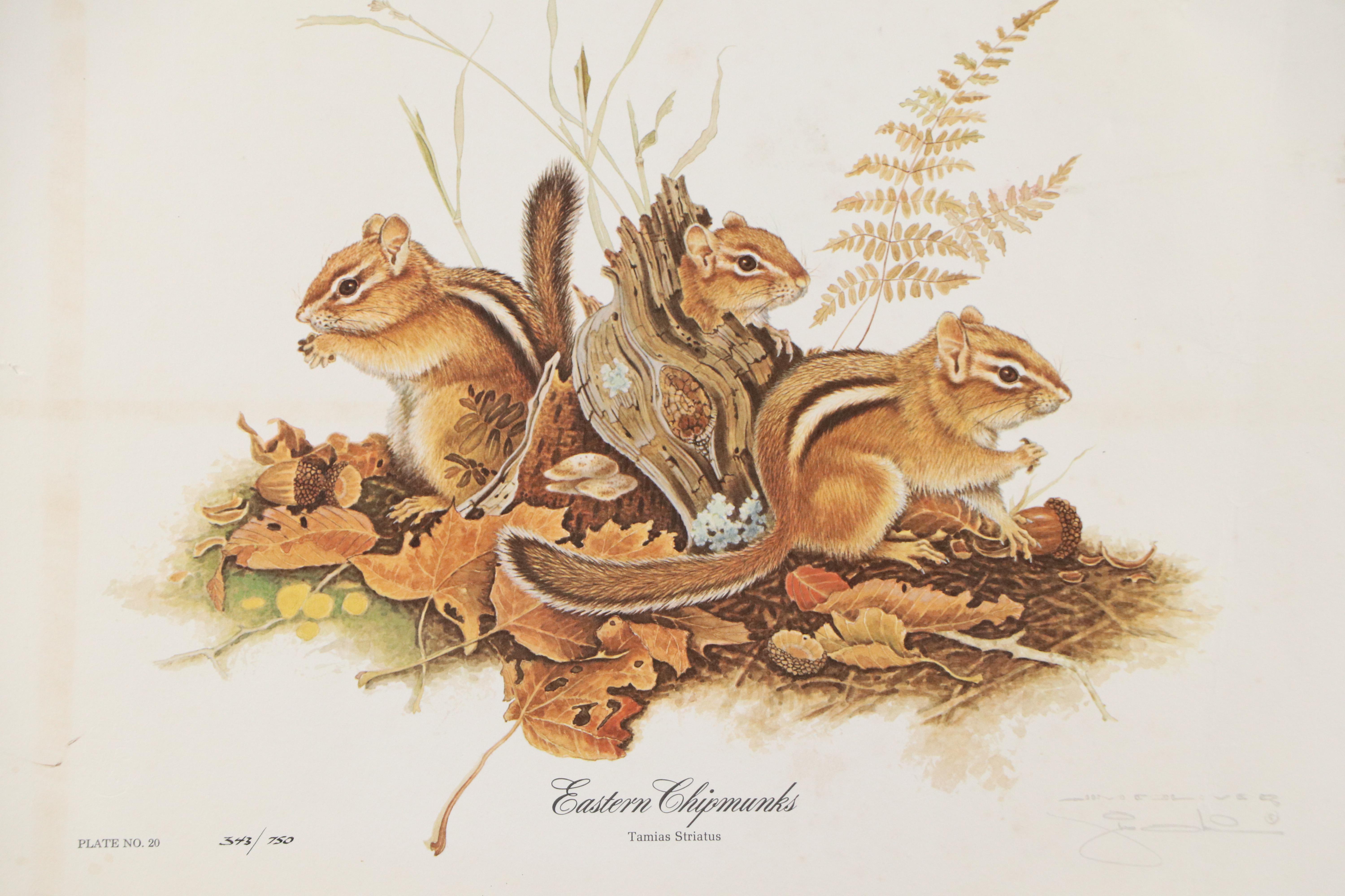 Jim Oliver Offset Lithograph "Eastern Chipmunks," Late 20th Century