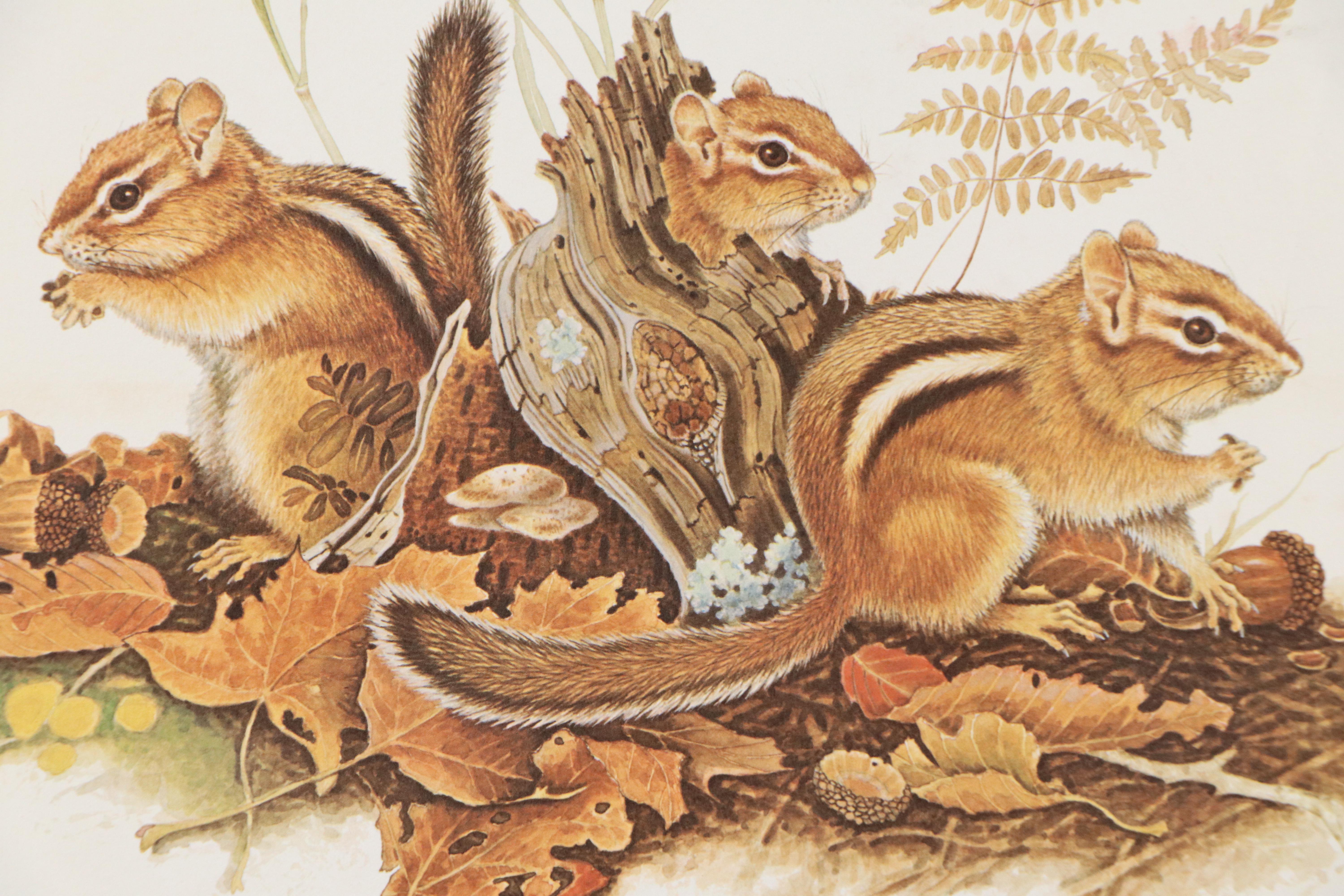 Jim Oliver Offset Lithograph "Eastern Chipmunks," Late 20th Century