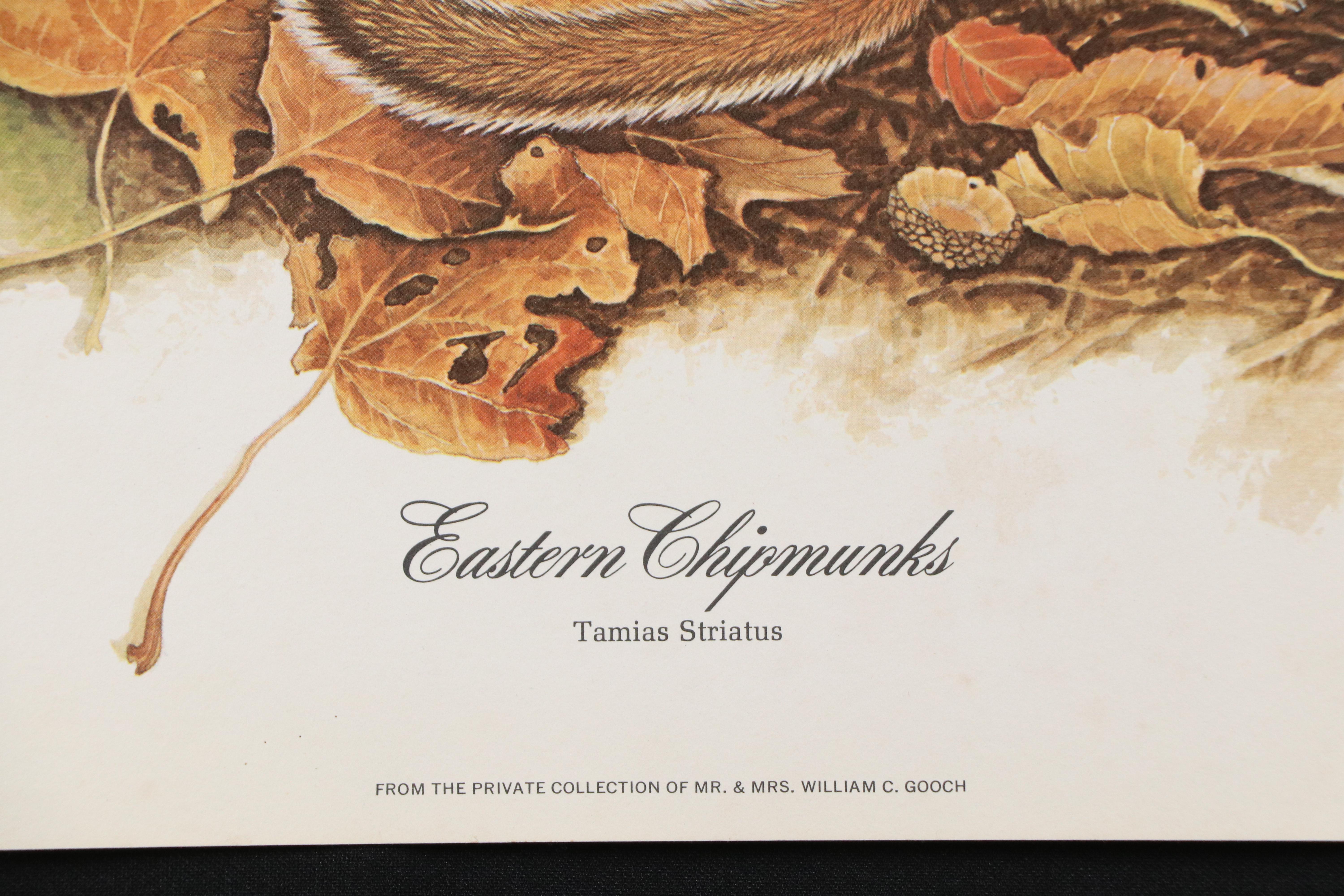 Jim Oliver Offset Lithograph "Eastern Chipmunks," Late 20th Century