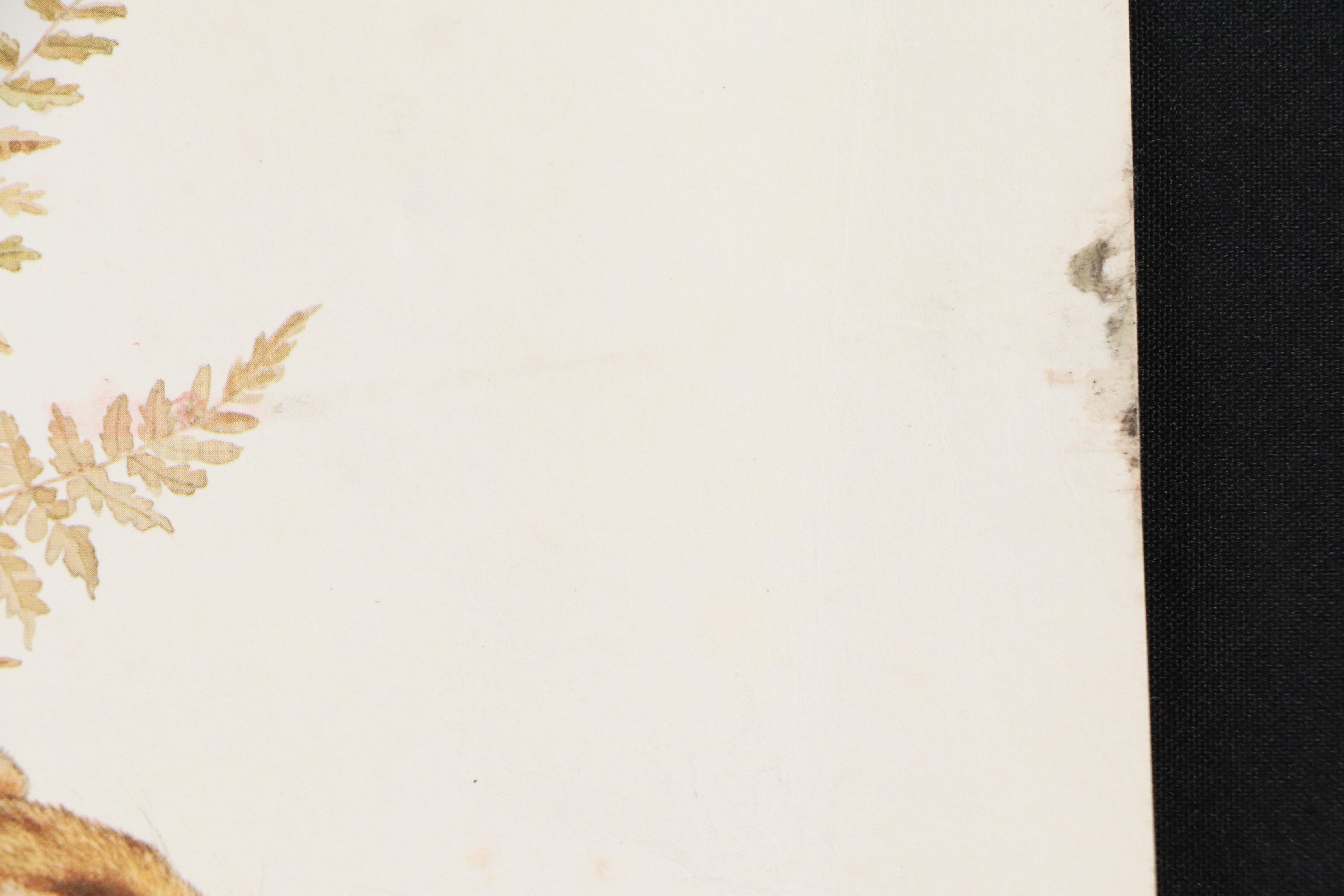 Jim Oliver Offset Lithograph "Eastern Chipmunks," Late 20th Century