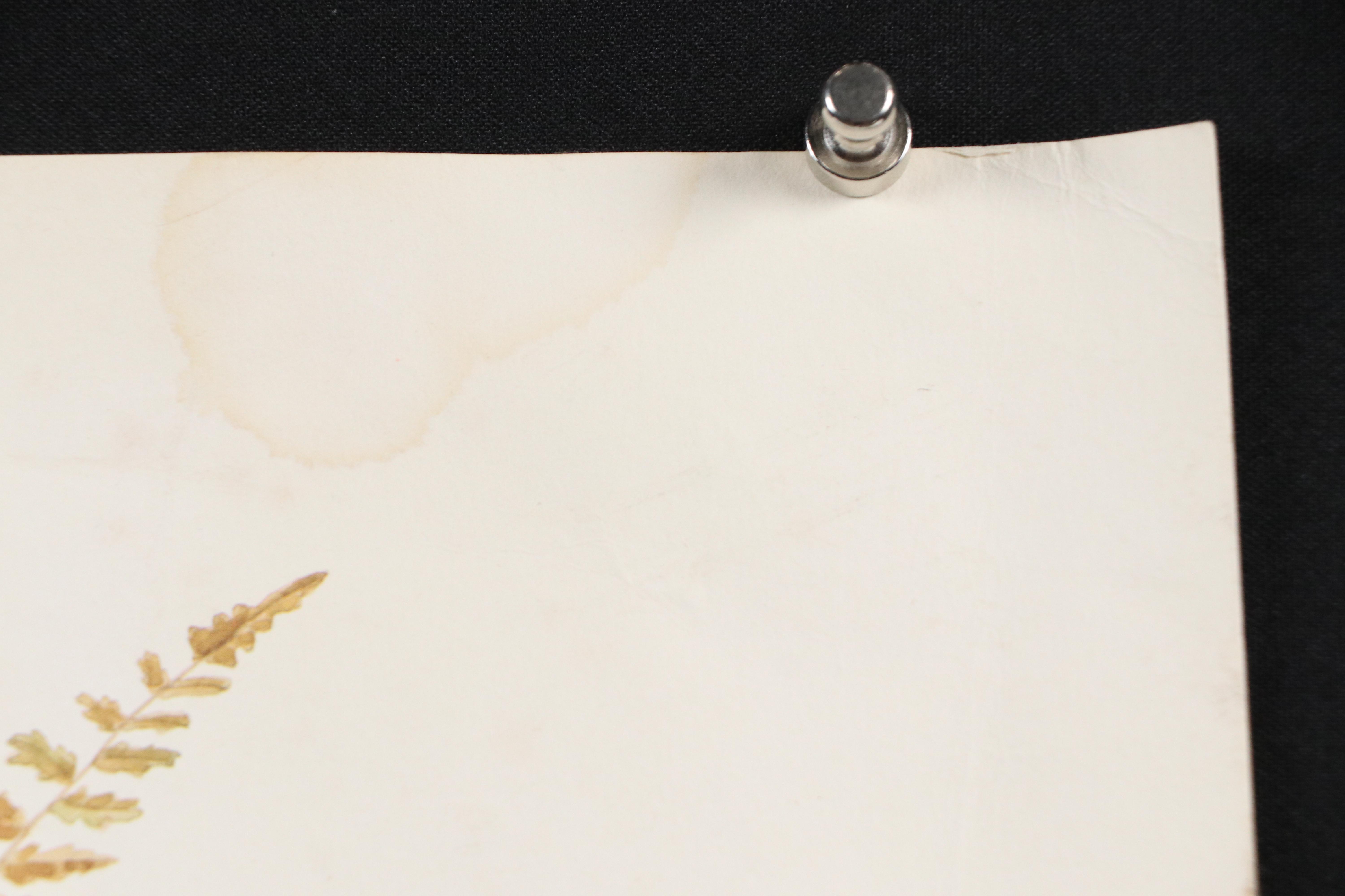 Jim Oliver Offset Lithograph "Eastern Chipmunks," Late 20th Century