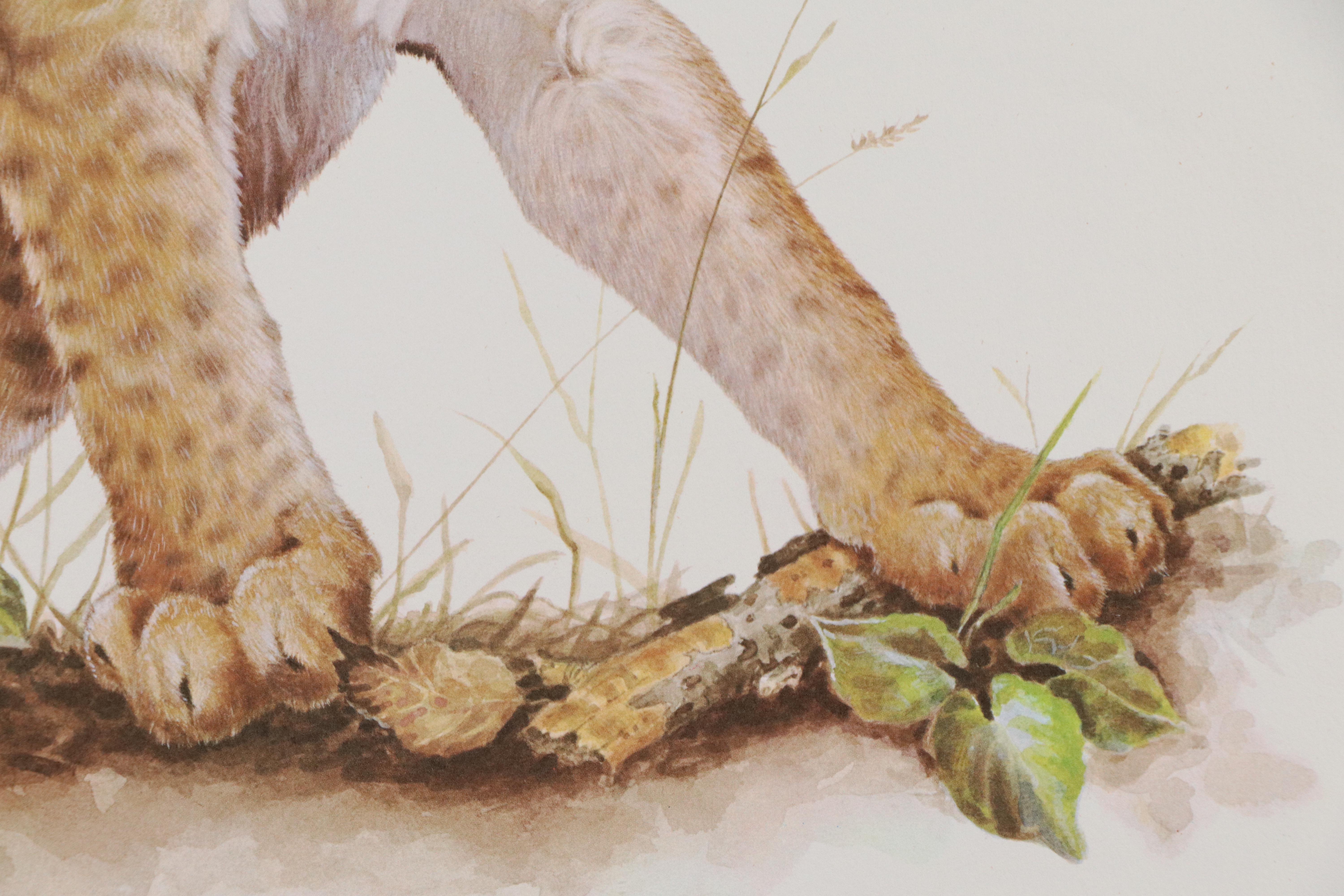 Jim Oliver Offset Lithograph "Lion Cub," Late 20th Century