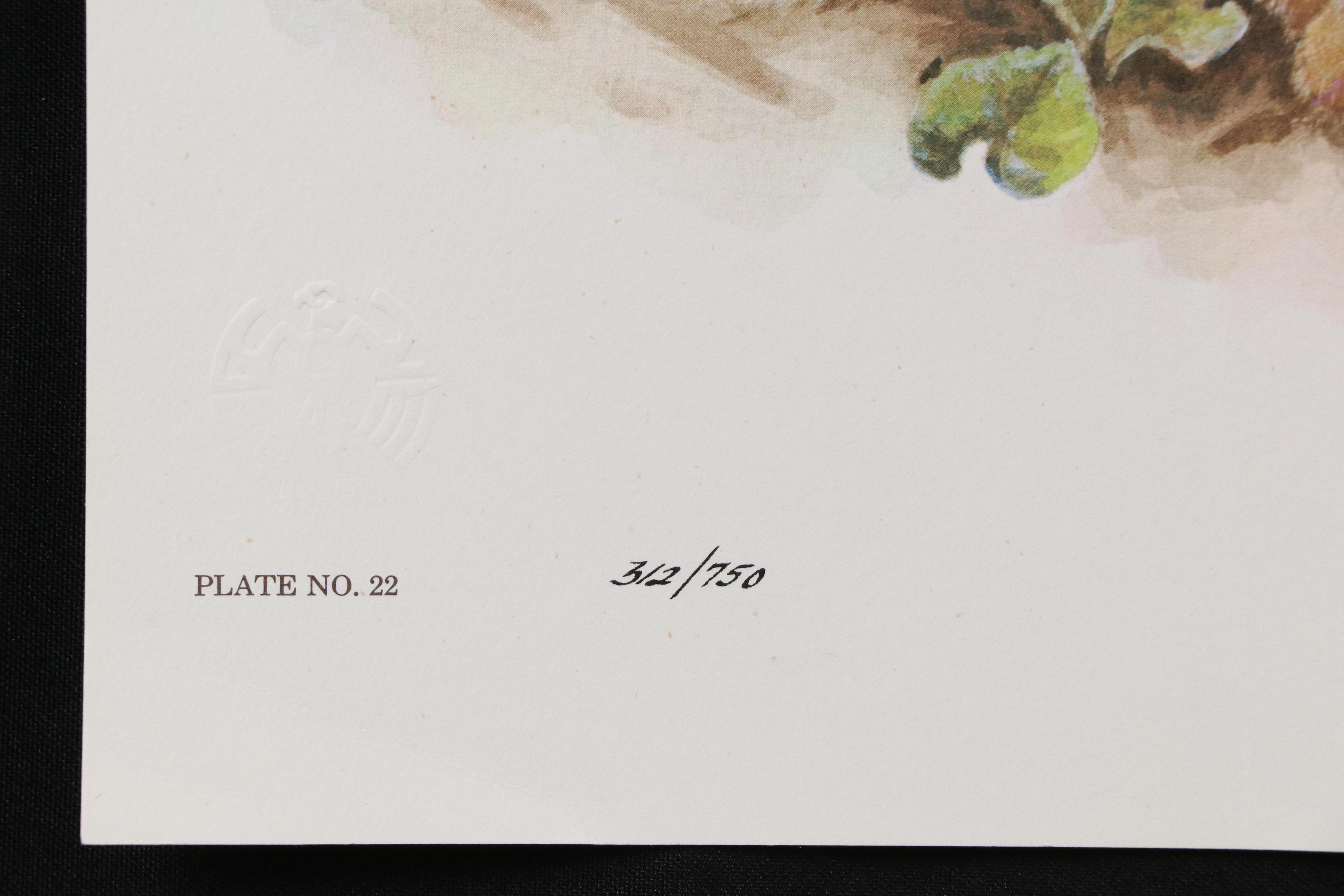 Jim Oliver Offset Lithograph "Lion Cub," Late 20th Century