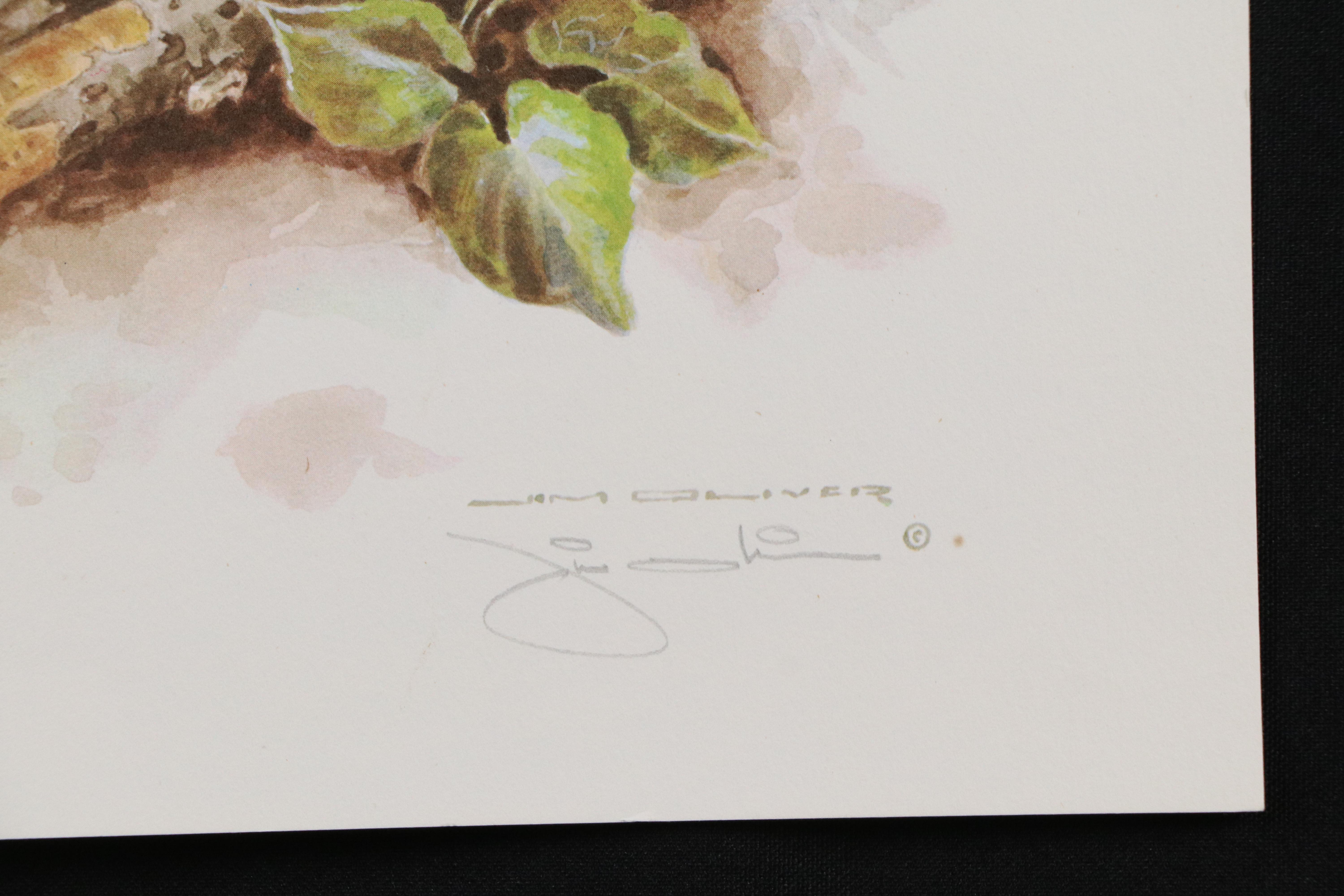 Jim Oliver Offset Lithograph "Lion Cub," Late 20th Century