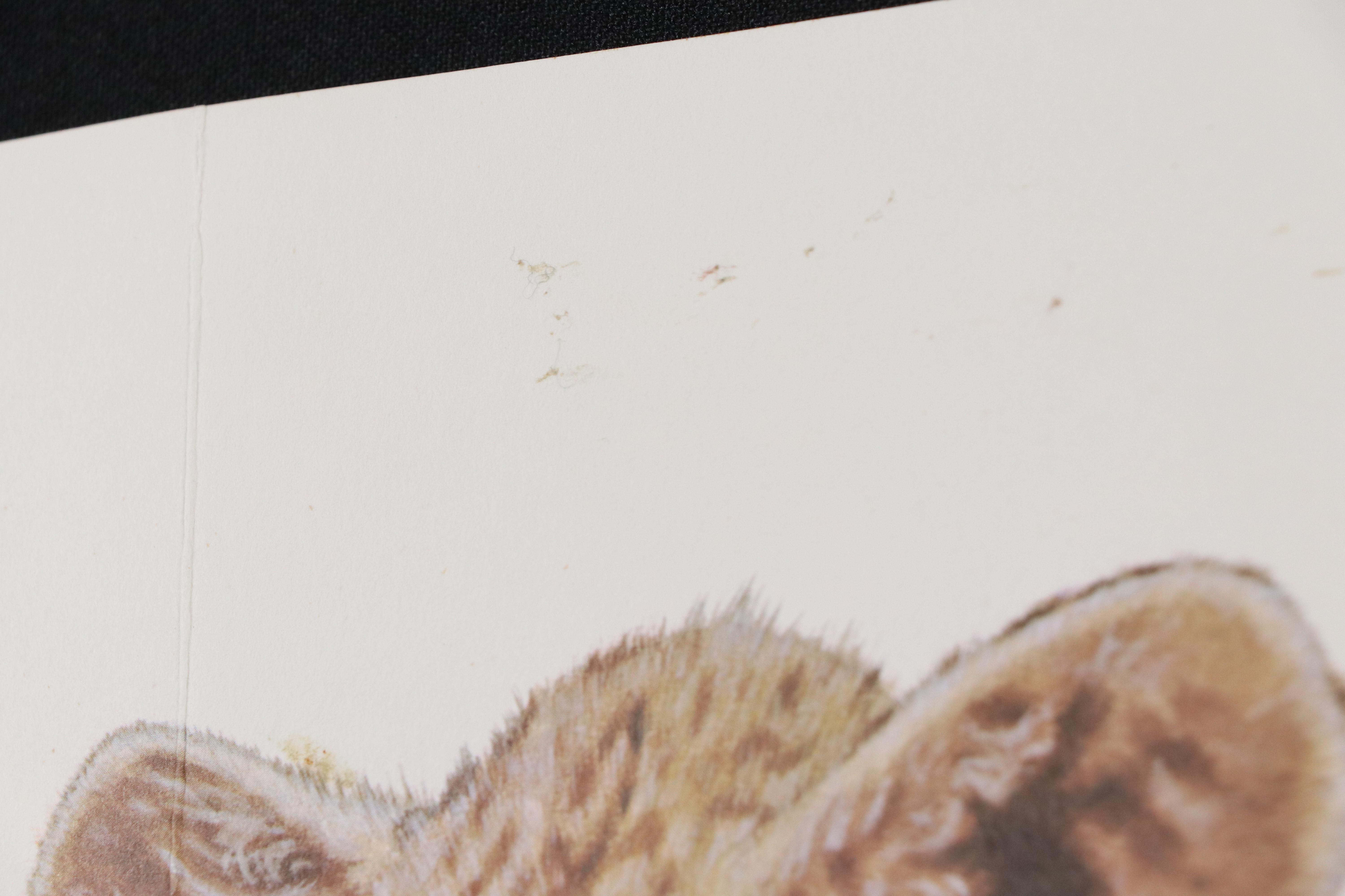 Jim Oliver Offset Lithograph "Lion Cub," Late 20th Century