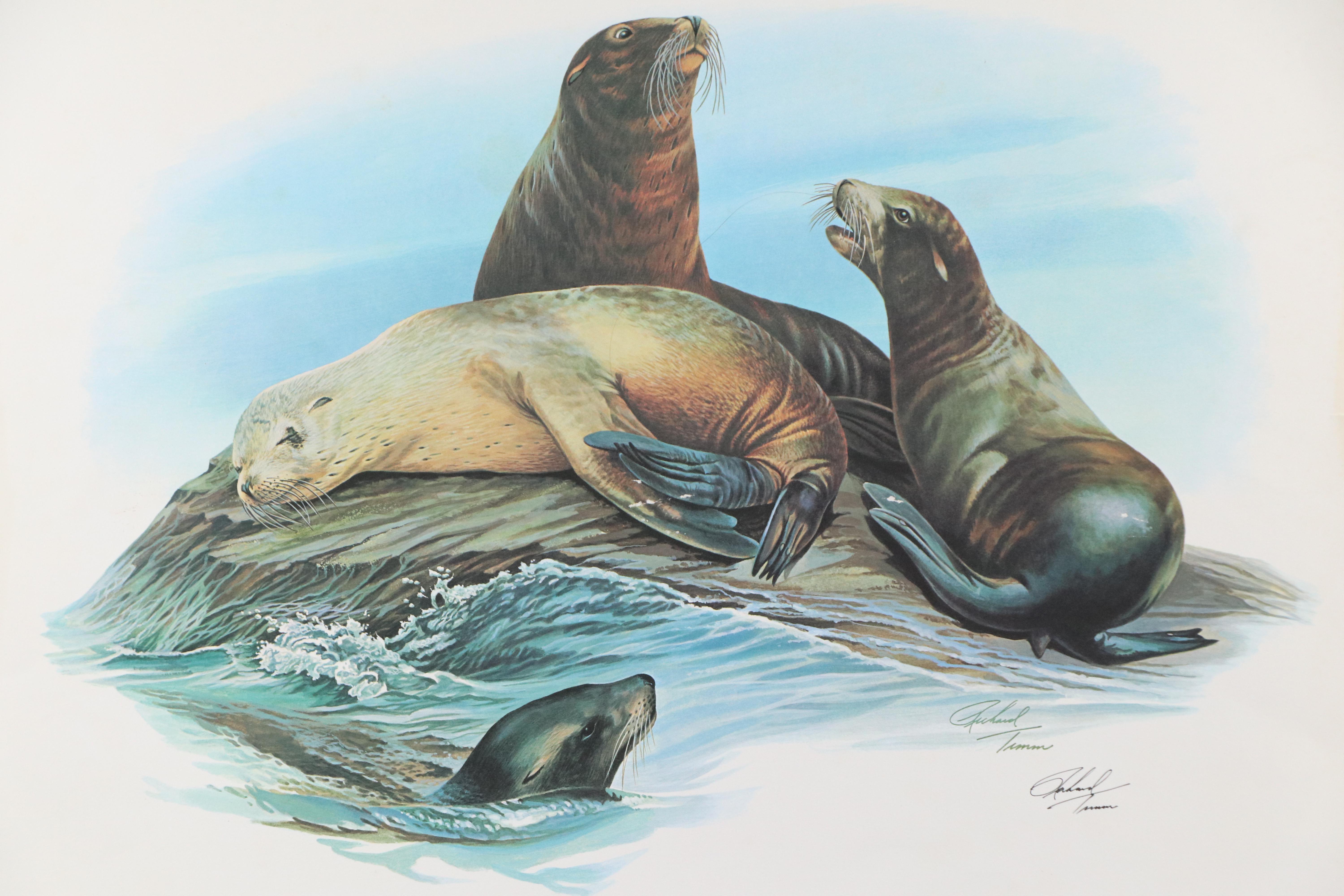 Richard Timm Offset Lithograph "California Sea Lion," Late 20th Century