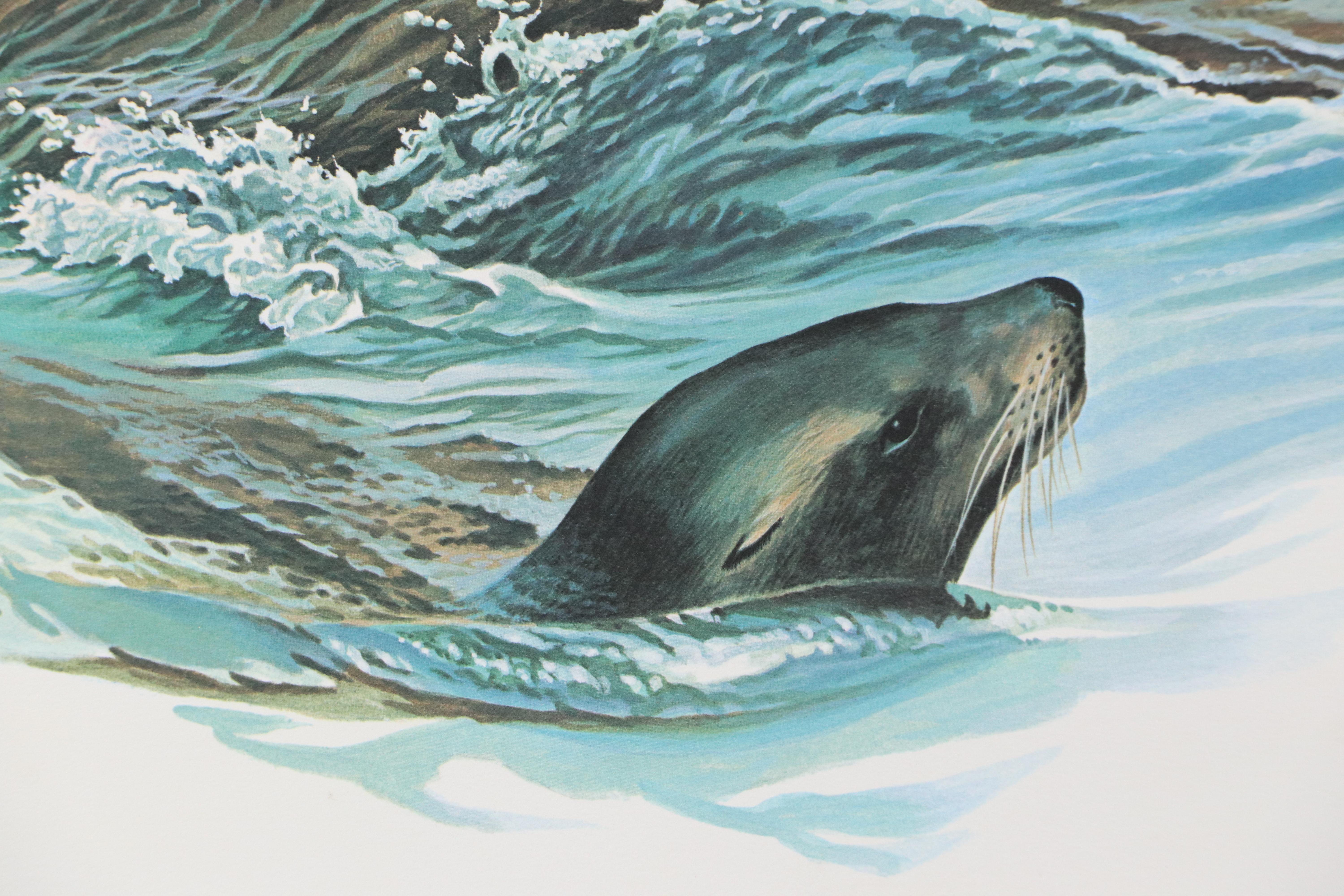 Richard Timm Offset Lithograph "California Sea Lion," Late 20th Century