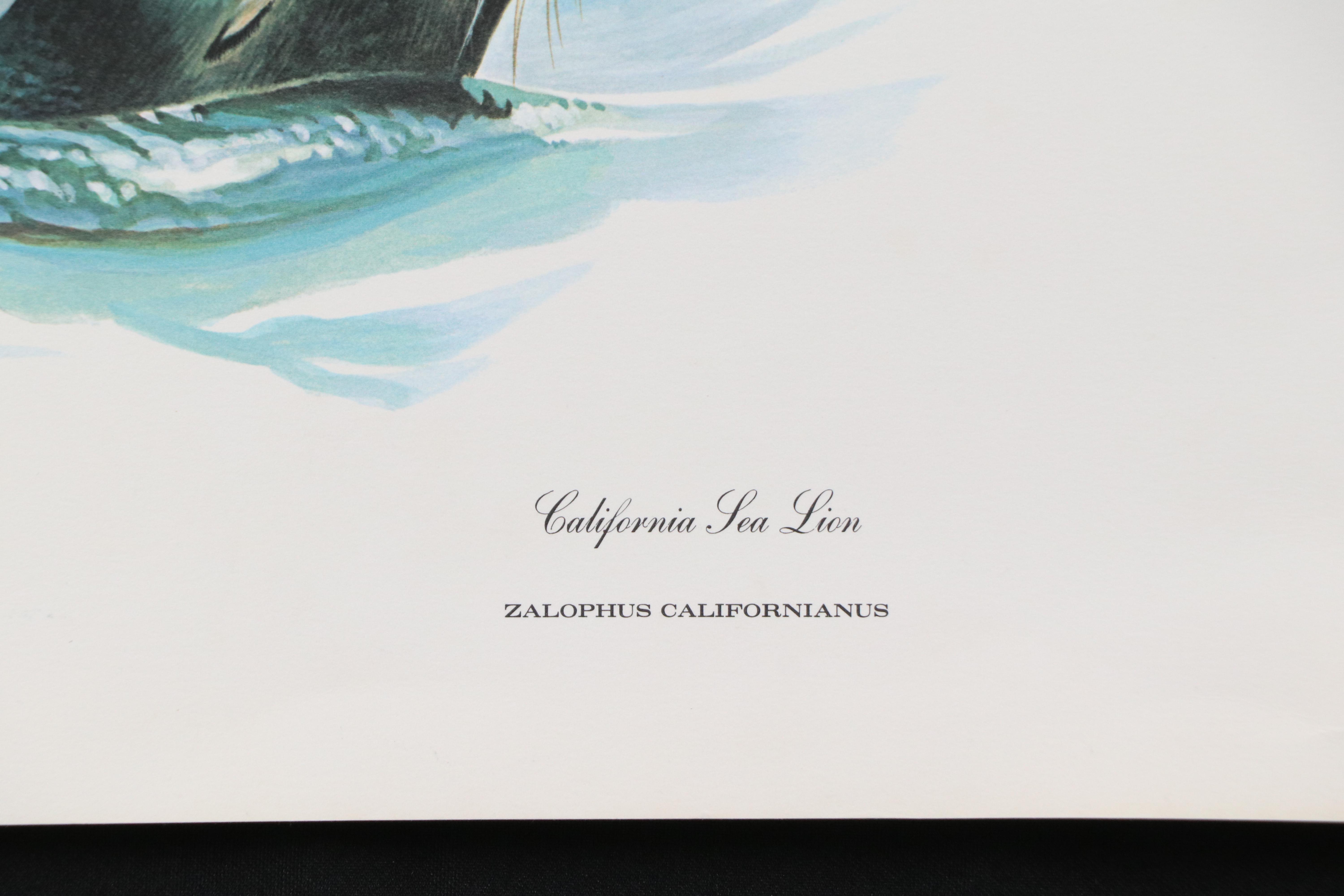 Richard Timm Offset Lithograph "California Sea Lion," Late 20th Century