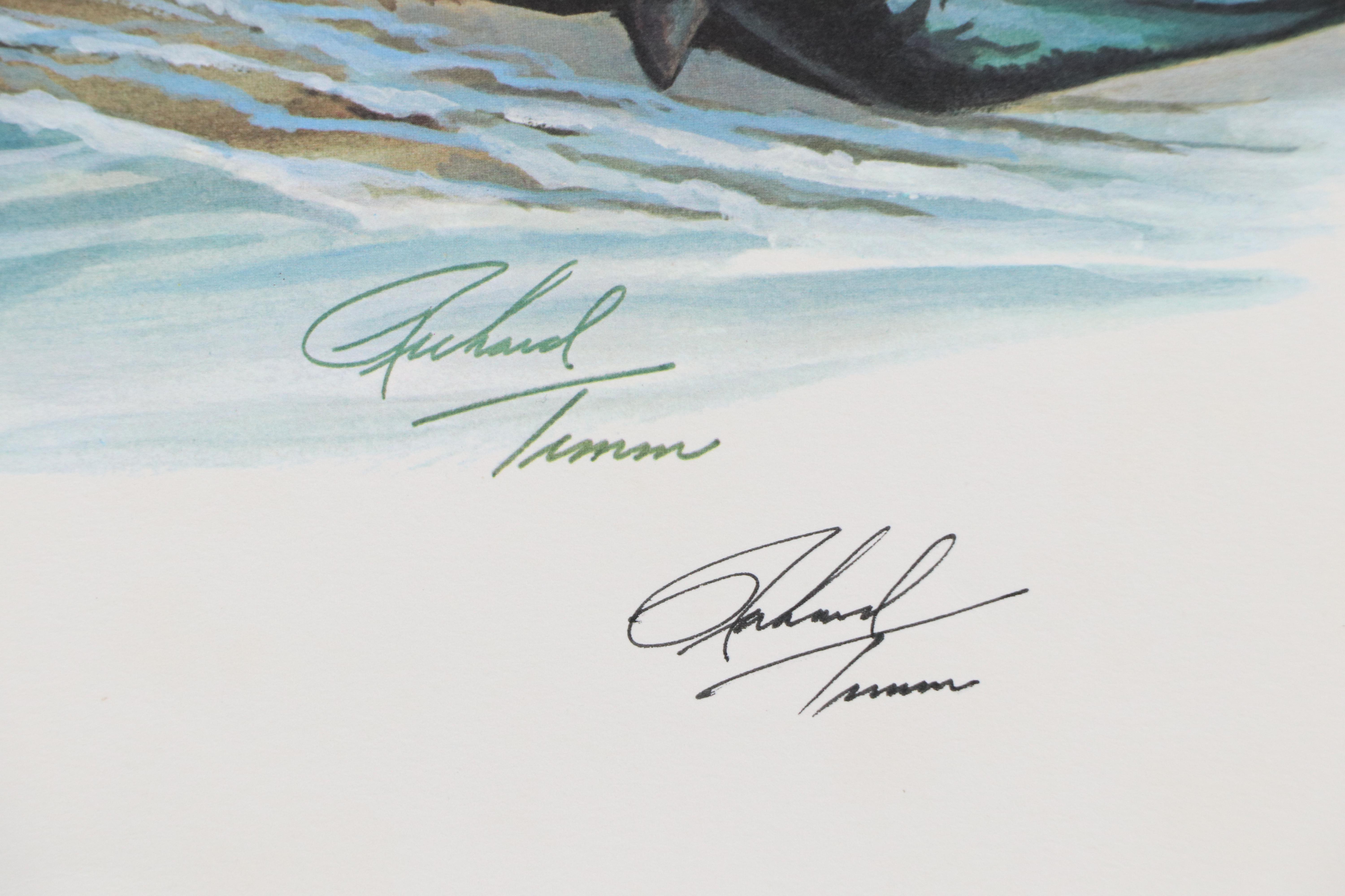 Richard Timm Offset Lithograph "California Sea Lion," Late 20th Century