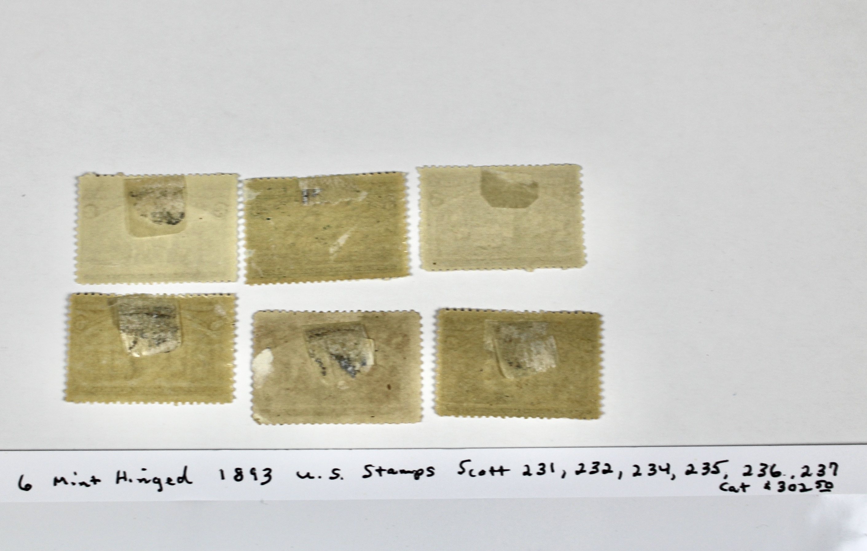 Six Mint Hinged 1893 Columbian Exposition Postage Stamps