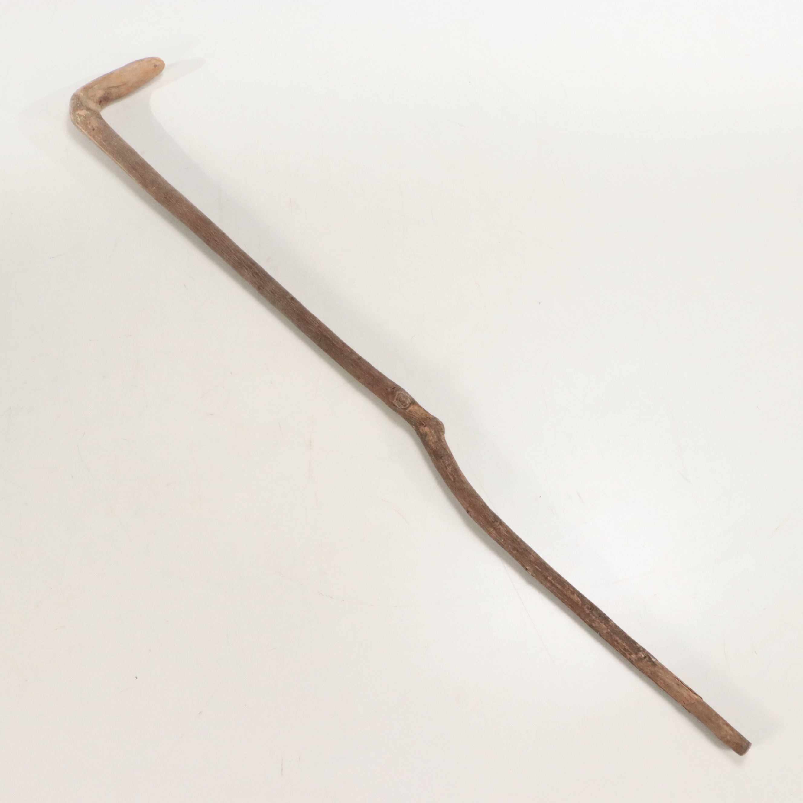 Hand-Painted Cane with Other Carved Wood Cane