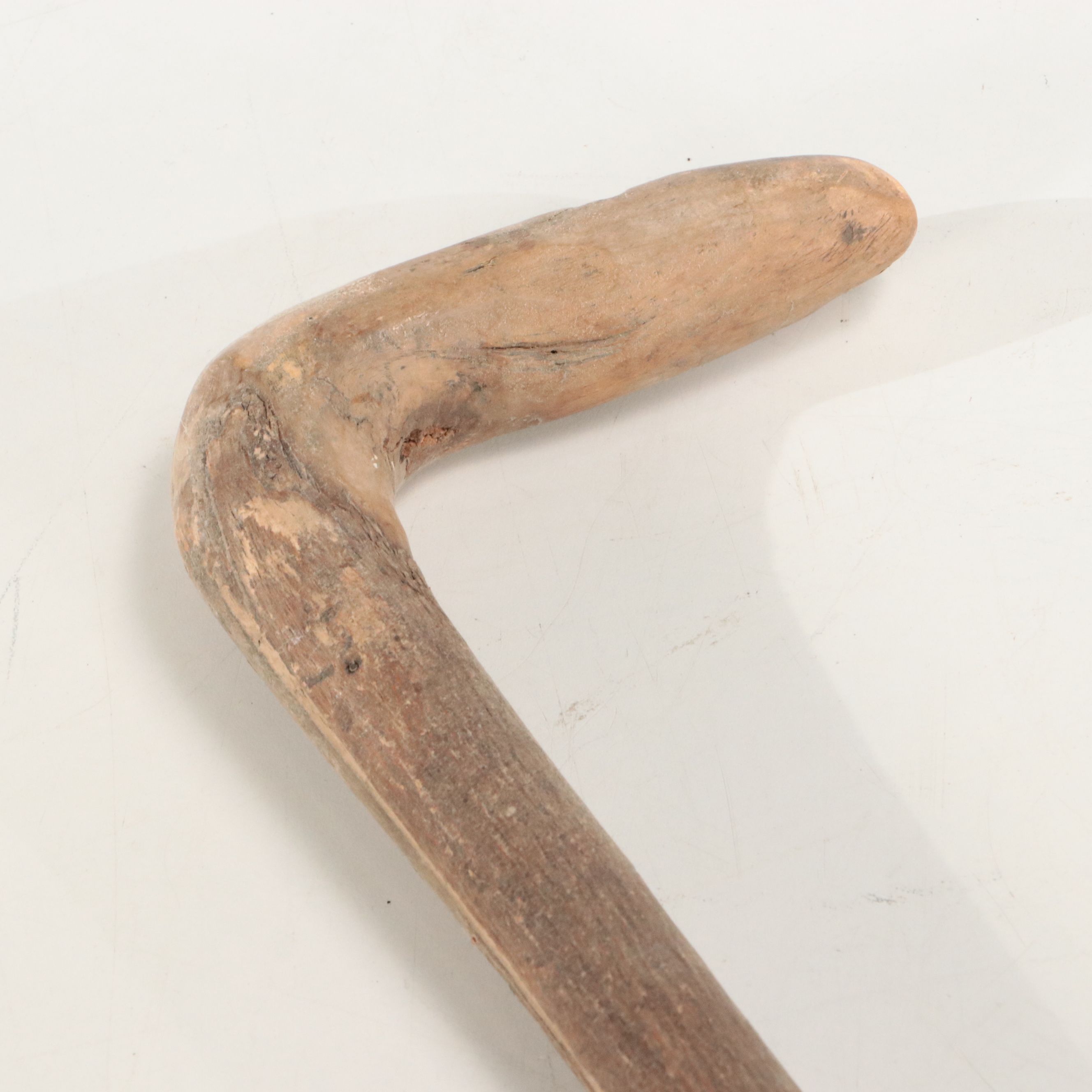 Hand-Painted Cane with Other Carved Wood Cane