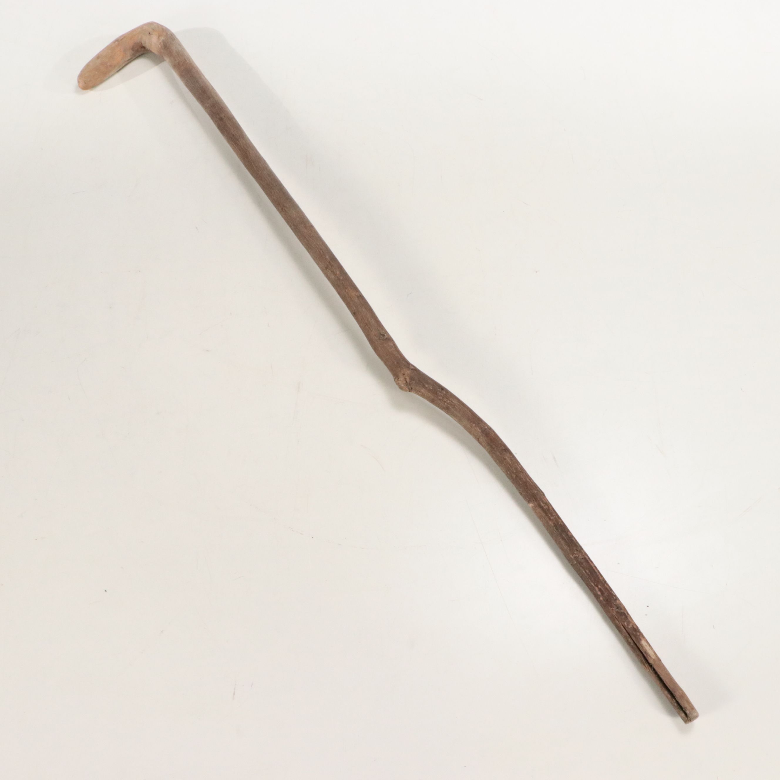 Hand-Painted Cane with Other Carved Wood Cane